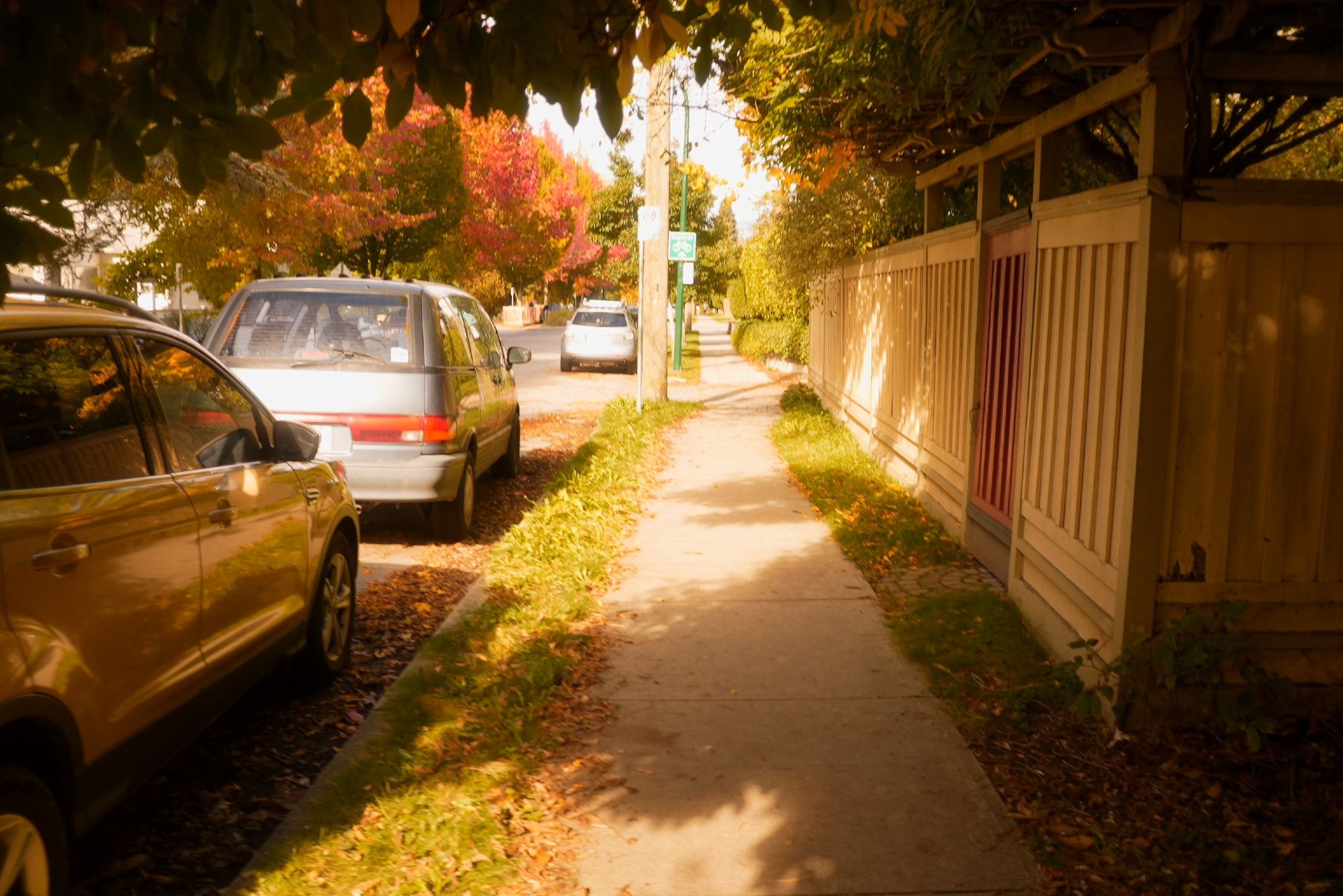 warm sun bouncing off a wooden wall in the fall with red and yellow trees in the background