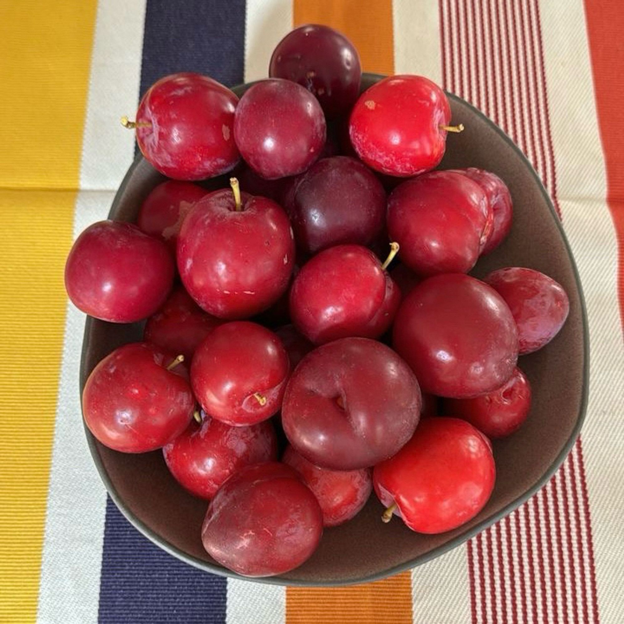 Bowl of plums