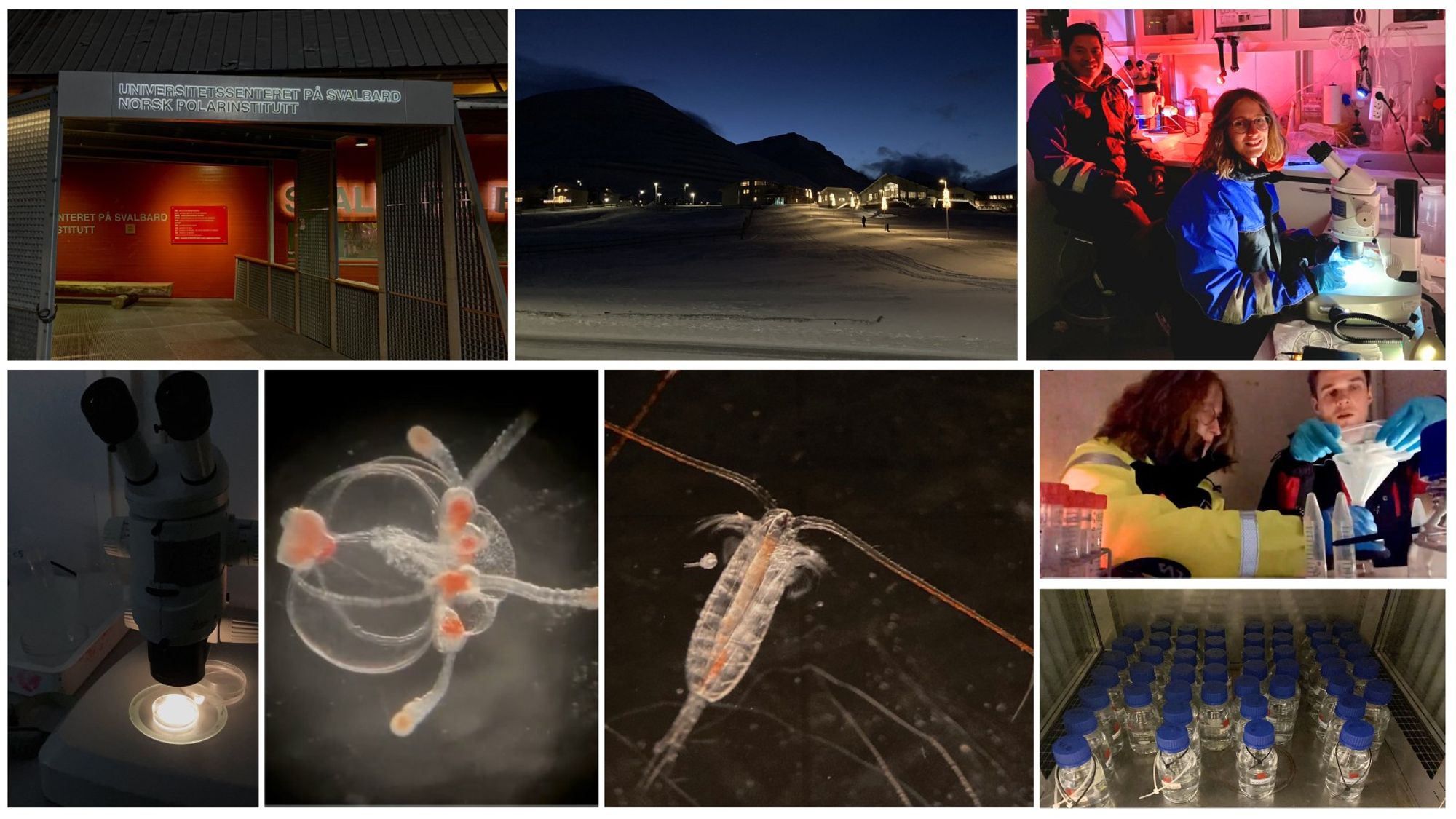 a collage image with picture from the experiment, Svalbard and lab analysis