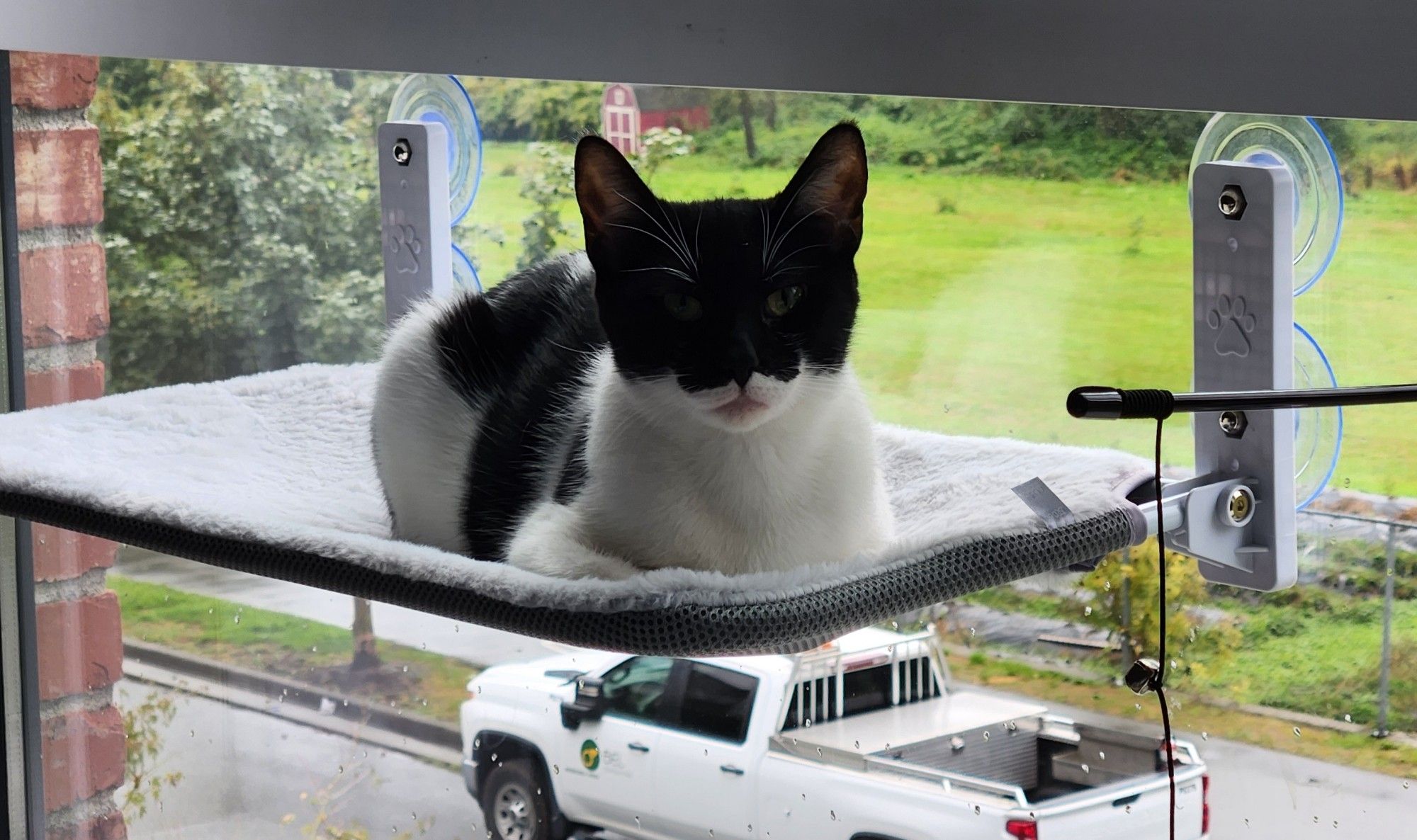 A picture of a black and white cat laying on a ledge attached to a window with a street and a field in the  background