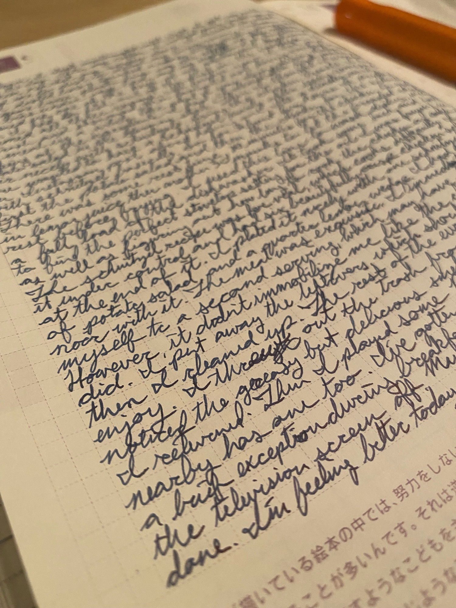 a Hobonichi techo cousin journal entry written in cursive using blue black ink from a fountain pen