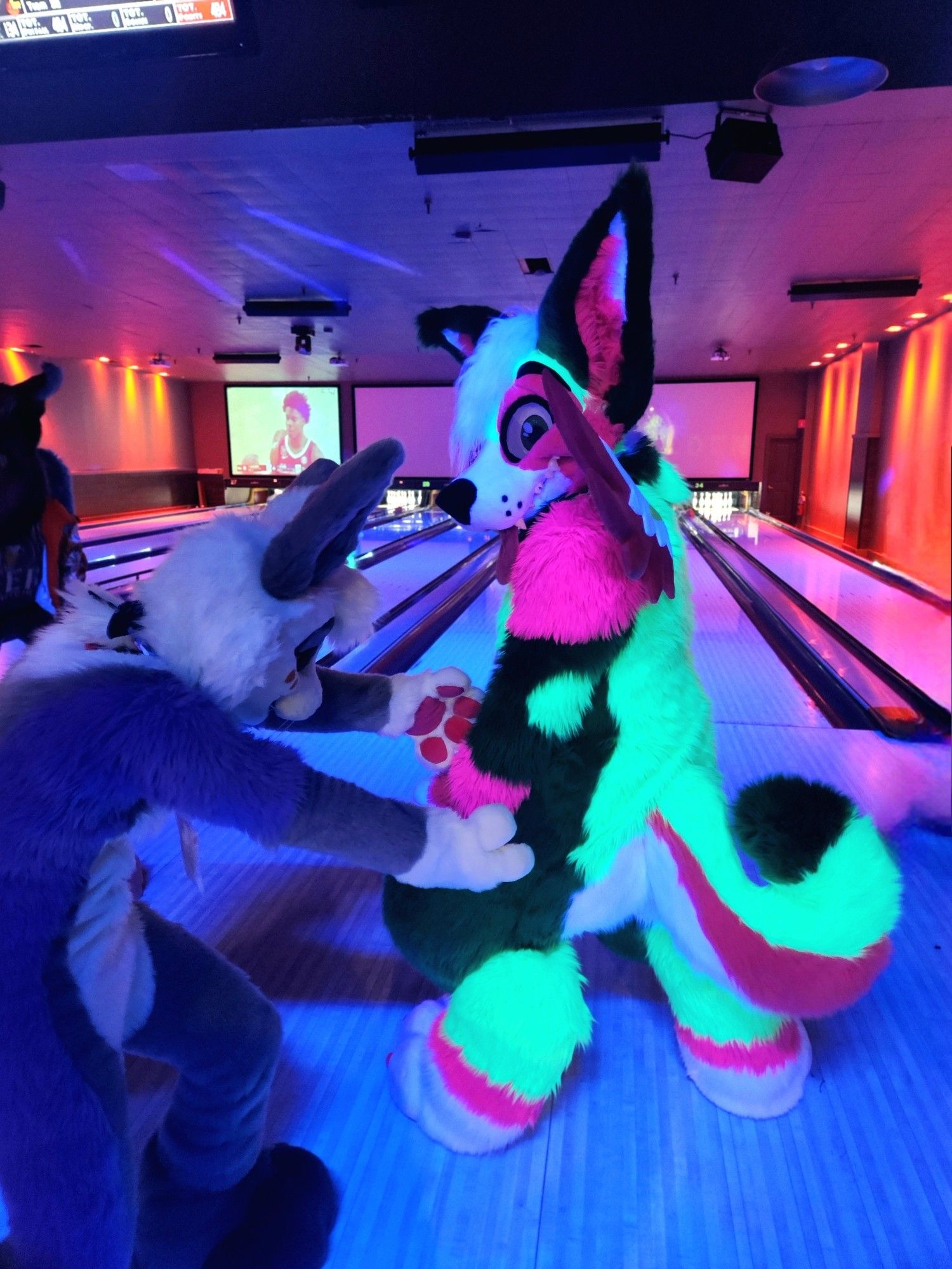 Melon glowing at Furbowl Poughkeepsie with Lea.