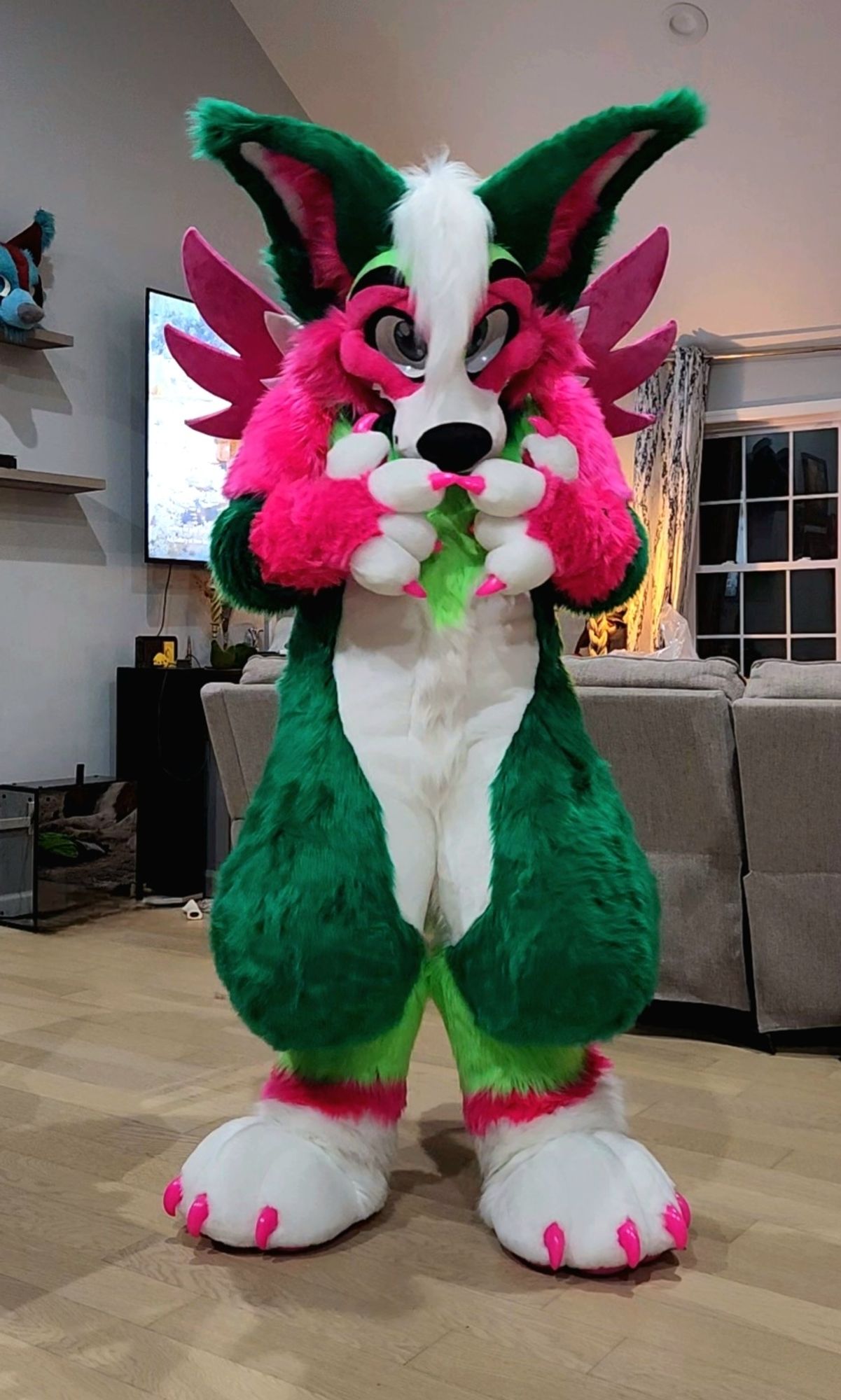 Melon in fullsuit looking bashful.