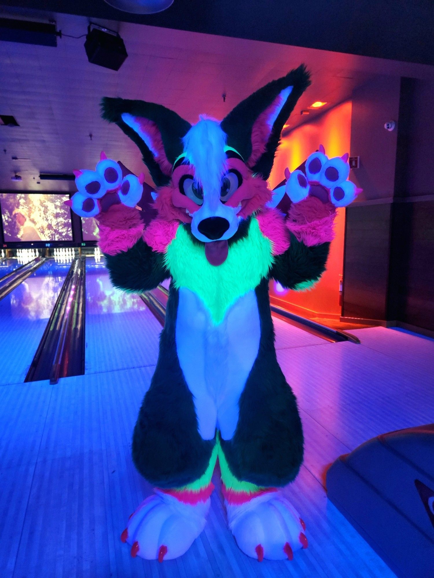 Melon glowing at Furbowl Poughkeepsie.