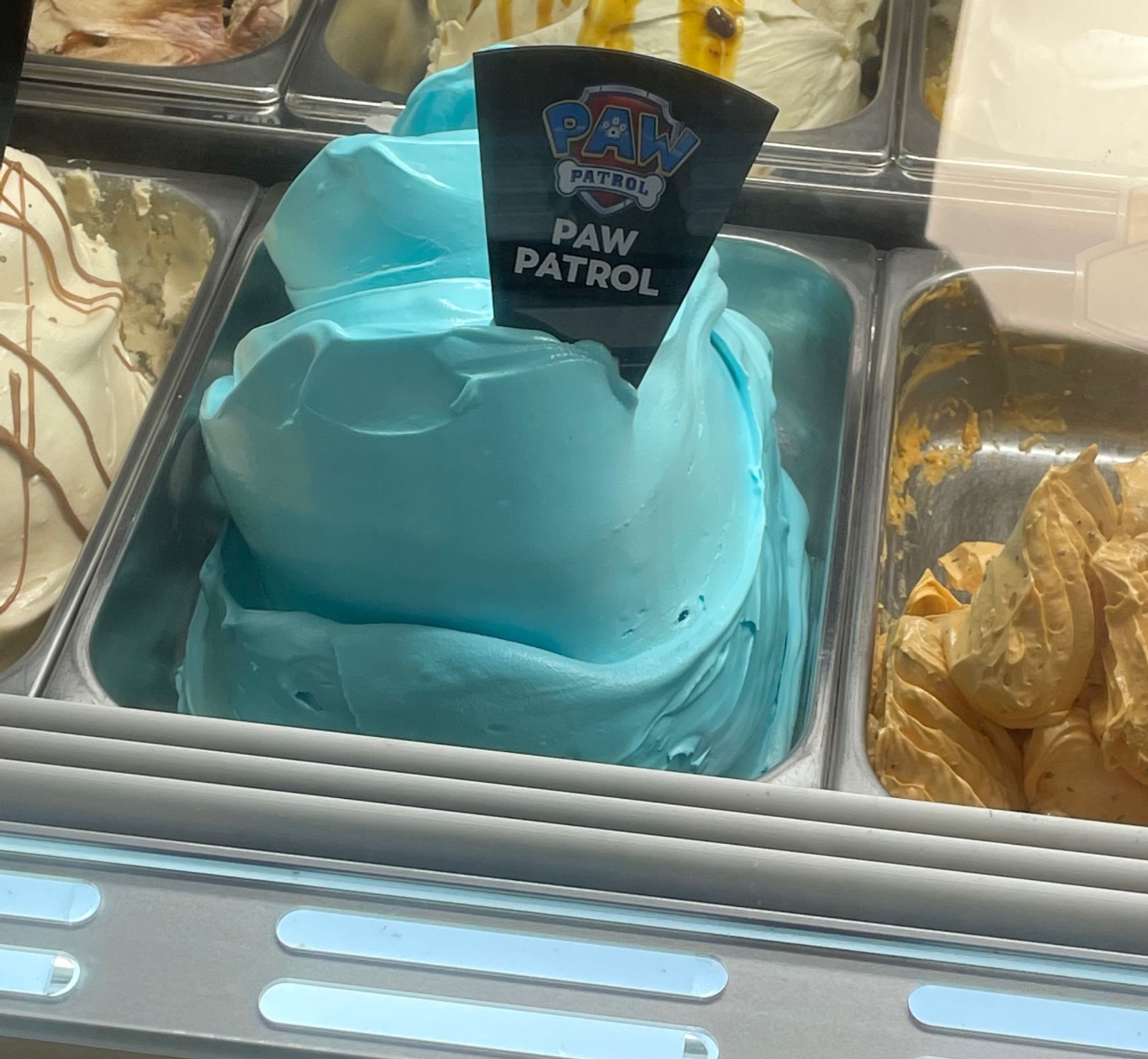 Blue ice cream labeled “Paw Patrol”