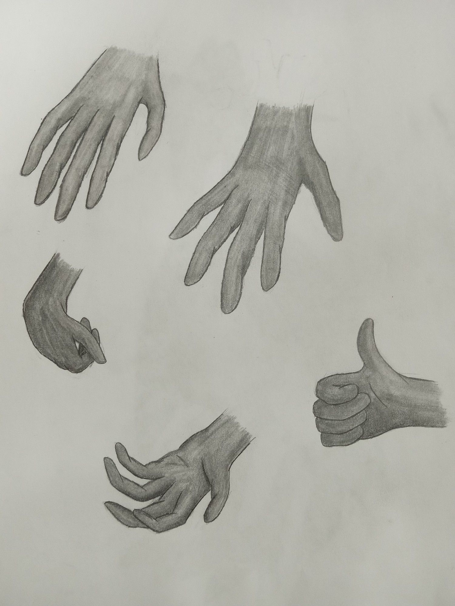 A graphite drawing of hands in five poses. Two hands are palm-down and relaxed, one hand is palm up with fingers curled, one hand is curling in towards the arm, and one hand is in a thumbs-up gesture.