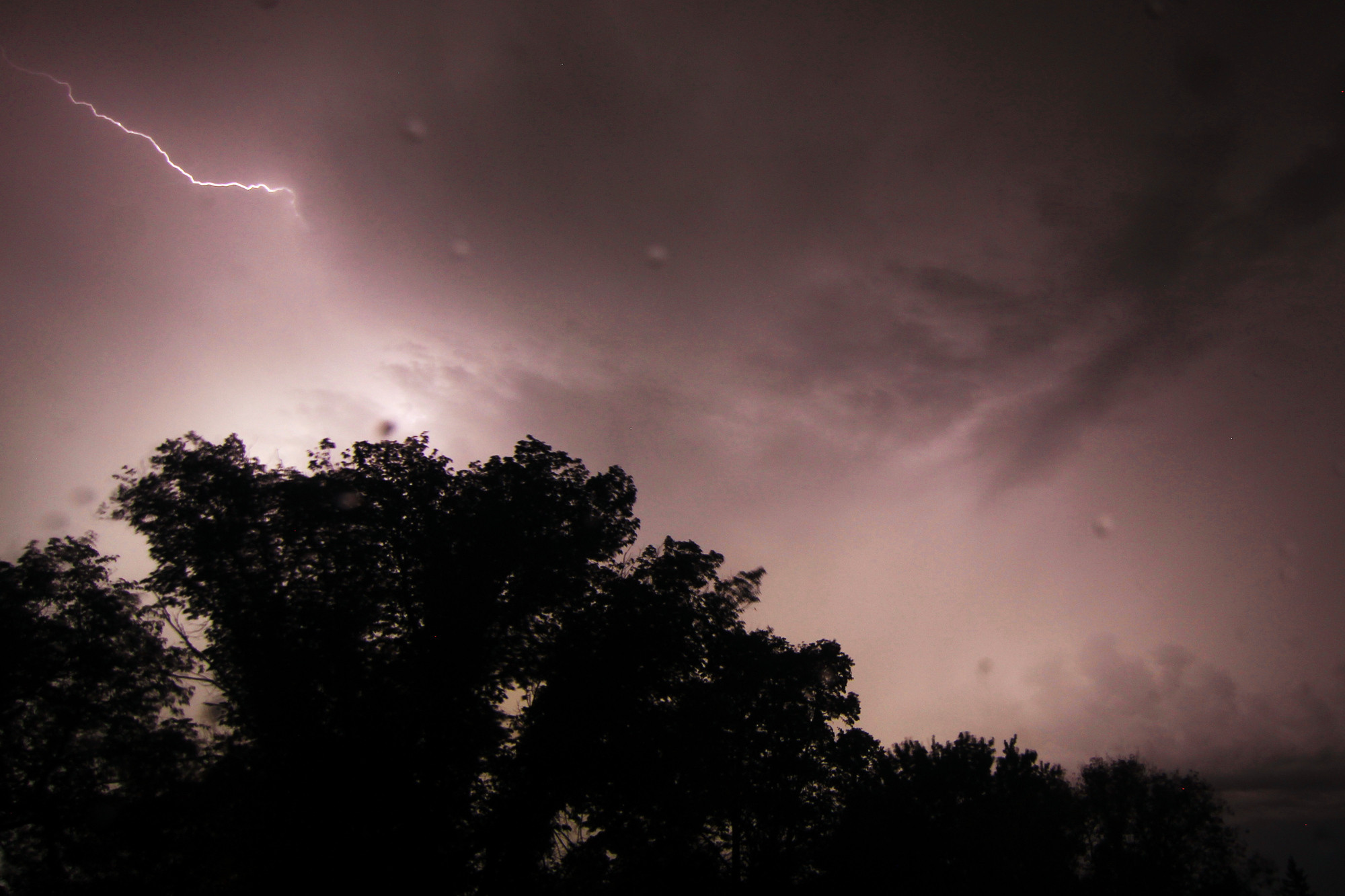 Lightning arcing over the dark silhouette of a tree