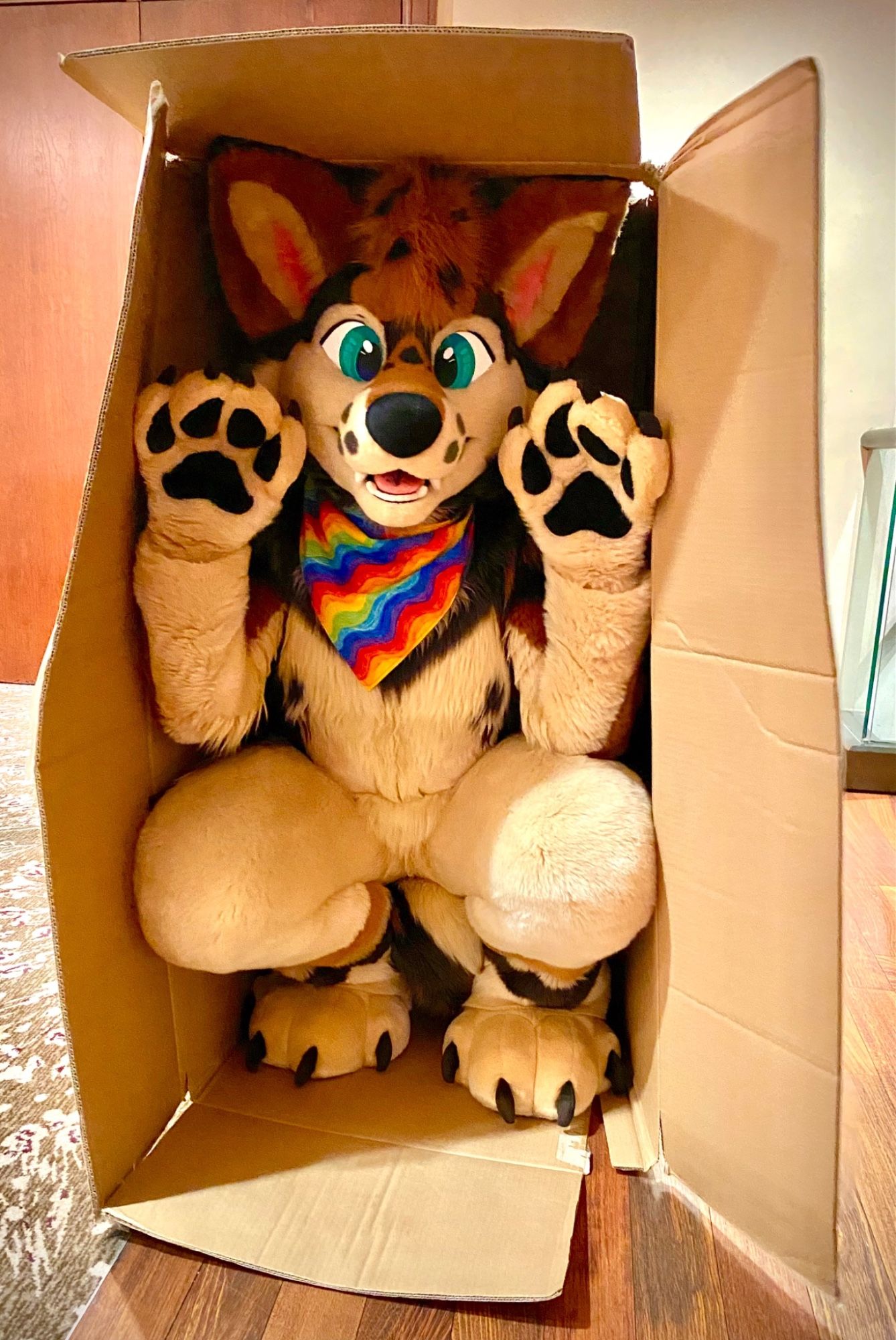 A coyote fursuiter crouches in a large box that looks like it’s just burst open