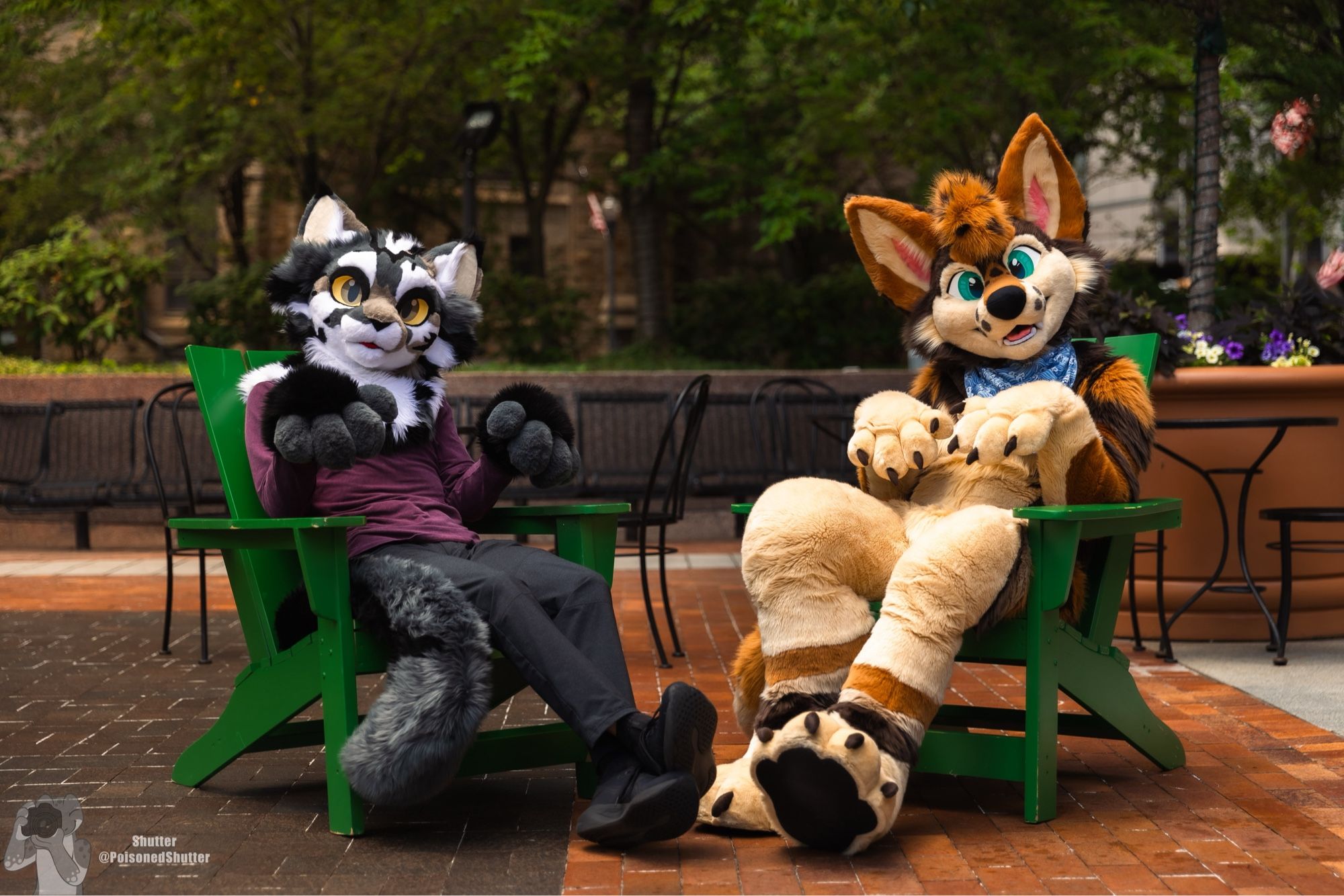 A feline fursuiter and a coyote fursuiter sit in Adirondack chairs in the middle of a public plaza with their paws up in an adorable pose