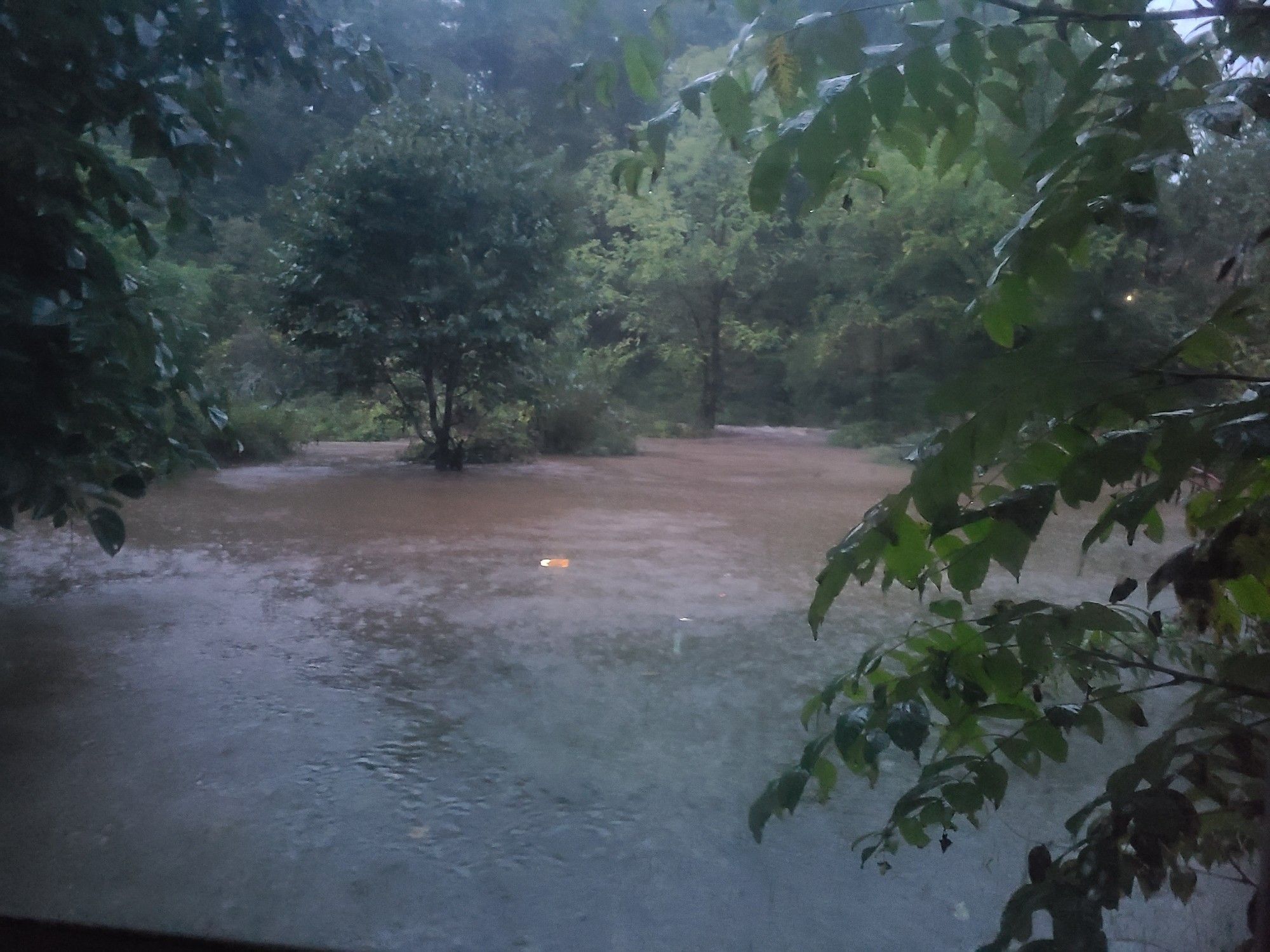 That same backyard view from the back window now flooded completely, water partway up the tree