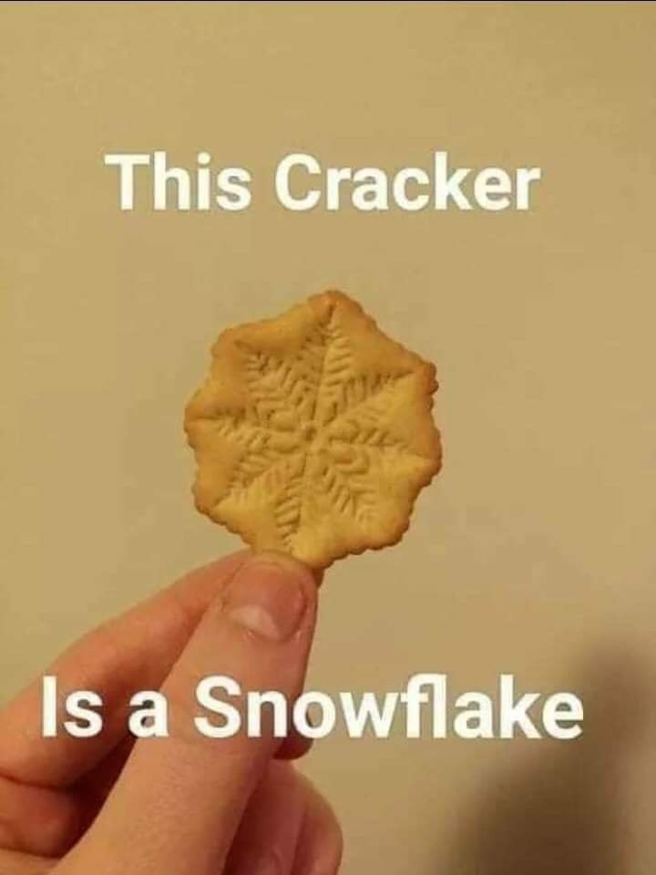 It's a cracker.  Also a snowflake.
Much like the cracker bitching about cracker barrel getting rid of both the cracker and the barrel.
