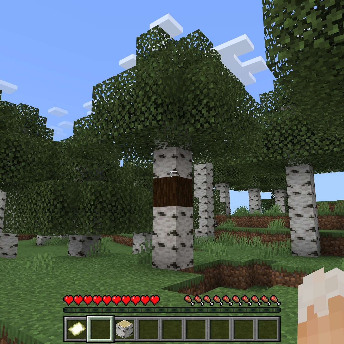 Minecraft birch tree with single block of darkwood placed in the middle