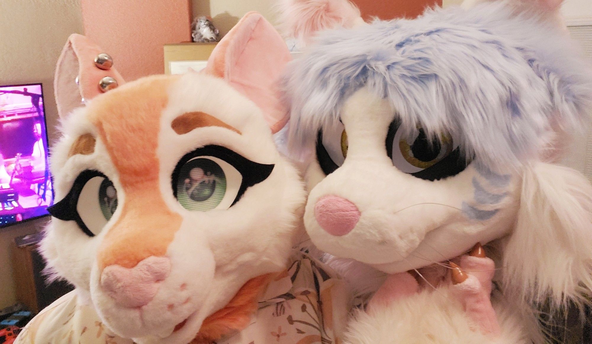 Cute peach and white colored rat mascot fursuit costume and pastel blue and white colored cat mascot fursuit costume.