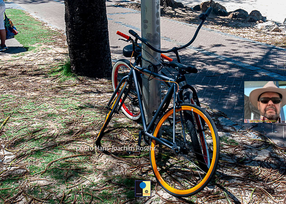 #bicyclephotography #velophotography #bikephotography #cyclestilllife #bicycleart #velodecor #bicycleart #bikeaesthetics #bikeenthusiast #bicyclelife #cyclistlifestyle #brisbanestreets #brisbanecity #brisbanelife #brisbanephotography