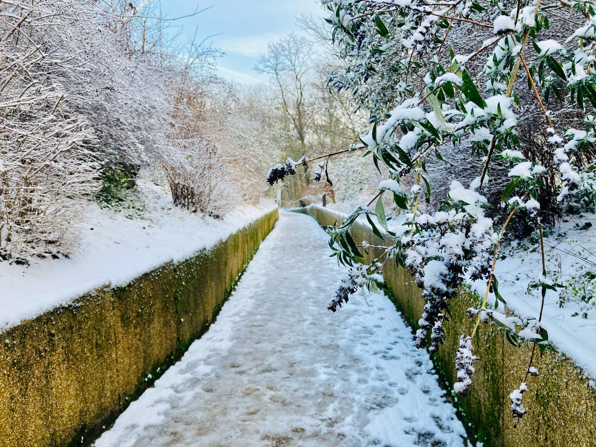 Chemin enneigé