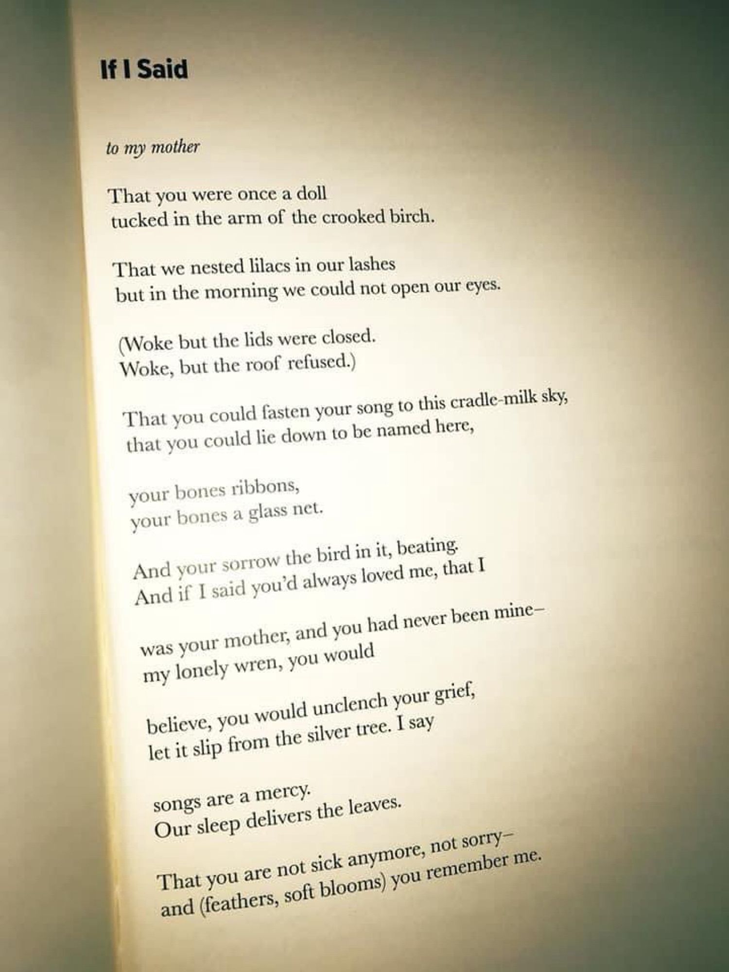 If I Said
to my mother
That you were once a doll
tucked in the arm of the crooked birch.
That we nested lilacs in our lashes
but in the morning we could not open our eyes.
(Woke but the lids were closed.
Woke, but the roof refused.)
That you could fasten your song to this cradle-milk sky, that you could lie down to be named here,
your bones ribbons, your bones a glass net.
And your sorrow the bird in it, beating.
And if I said you'd always loved me, that I
was your mother, and you had never been mine-my lonely wren, you would
believe, you would unclench your grief, let it slip from the silver tree. I say
songs are a mercy.
Our sleep delivers the leaves.
That you are not sick anymore, not sorry-and (feathers, soft blooms) you remember me.