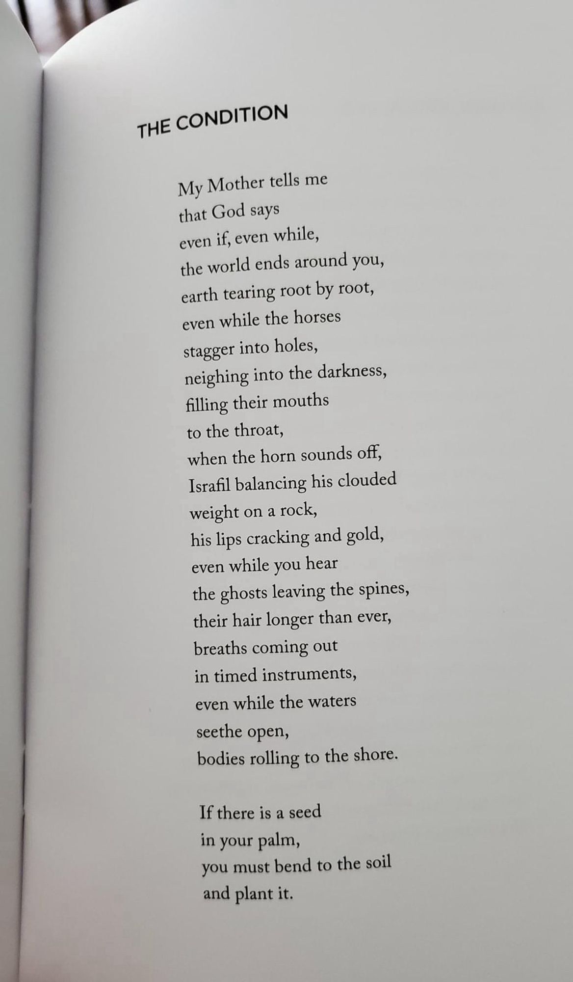 THE CONDITION
My Mother tells me that God says even if, even while, the world ends around you, earth tearing root by root, even while the horses stagger into holes, neighing into the darkness, filling their mouths to the throat,
when the horn sounds off, Israfil balancing his clouded weight on a rock, his lips cracking and gold, even while you hear the ghosts leaving the spines, their hair longer than ever, breaths coming out in timed instruments, even while the waters seethe open,
bodies rolling to the shore.
If there is a seed in your palm,
you must bend to the soil and plant it.