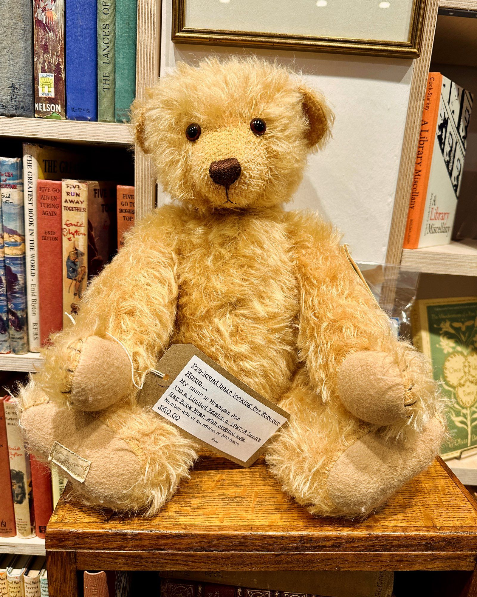 Traditional looking teddy bear with jointed limbs sitting in front of bookshelves