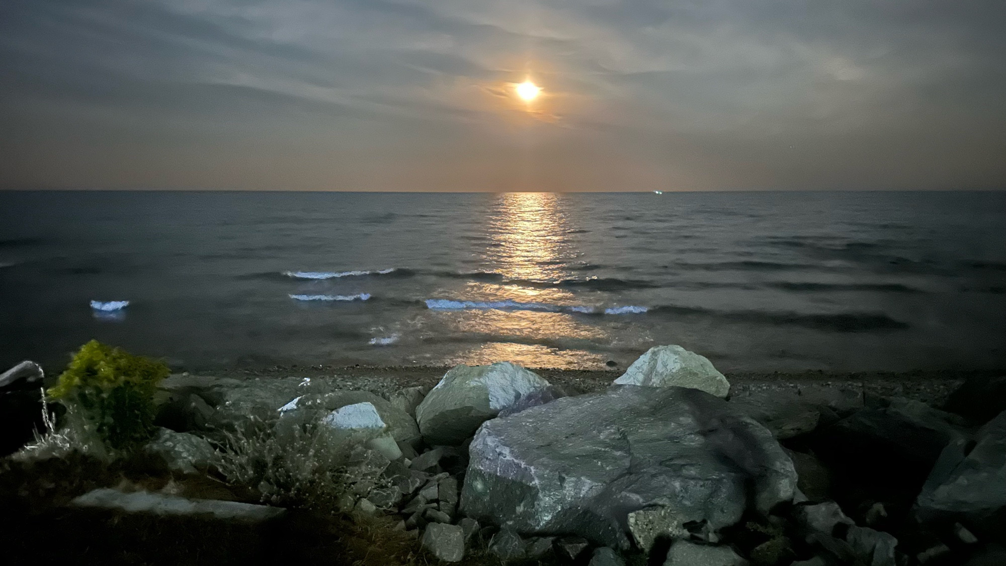 Super moon rising over Lake Michigan shoreline.