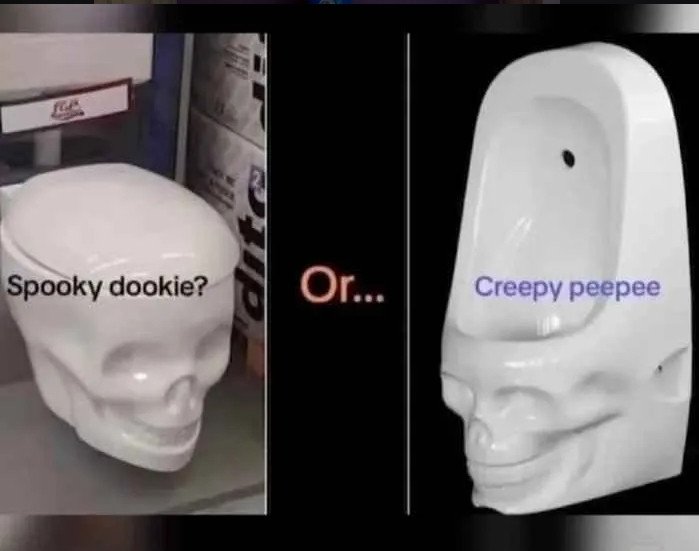 Left: a skull-shaped toilet with text that reads "spooky dookie?" 
Middle text: or...
Right: a skull-shaped urinal with text that reads "creepy peepee"