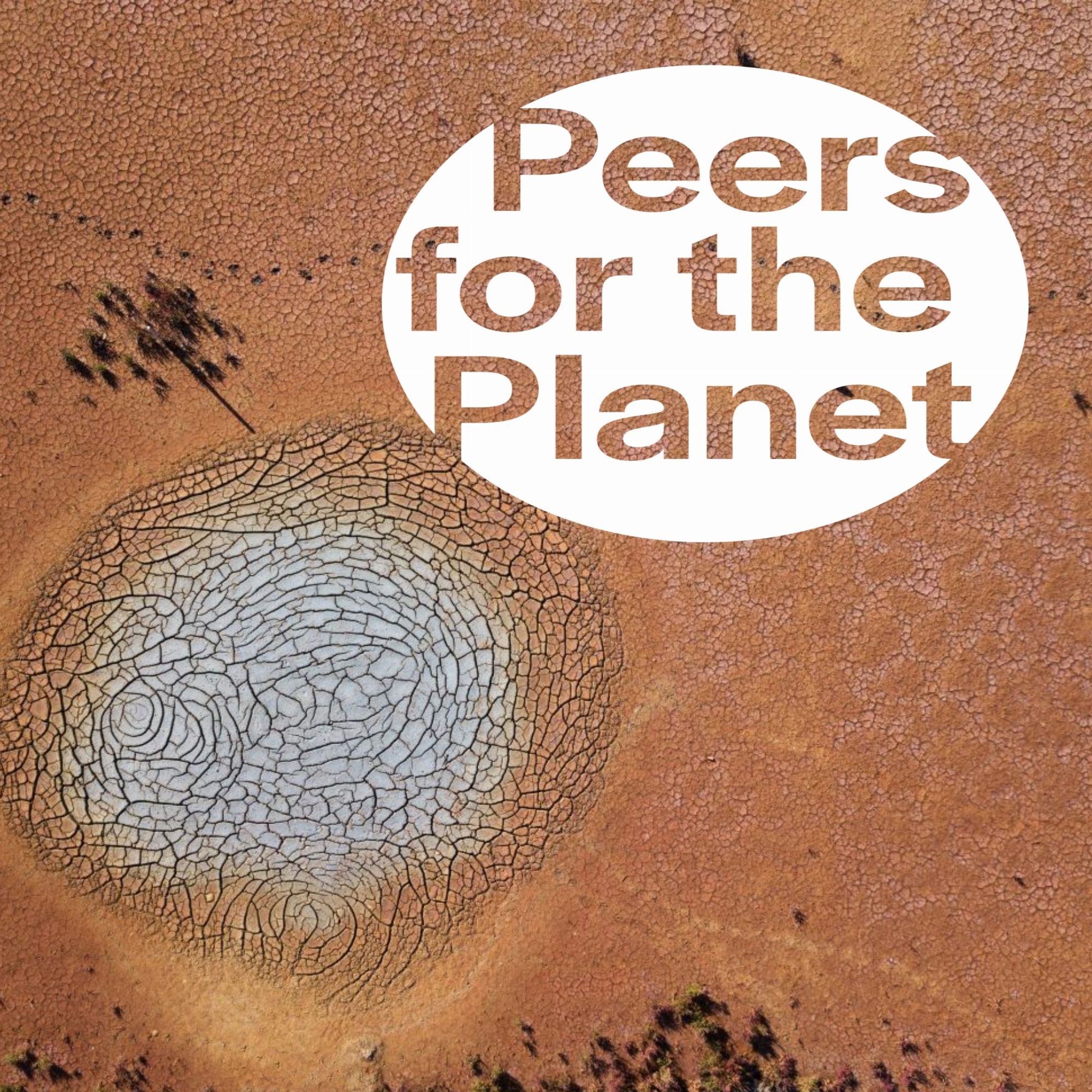 Aerial picture of what appears to be a dried up waterhole. Peers for the Planet logo in the top right hand part of the image.