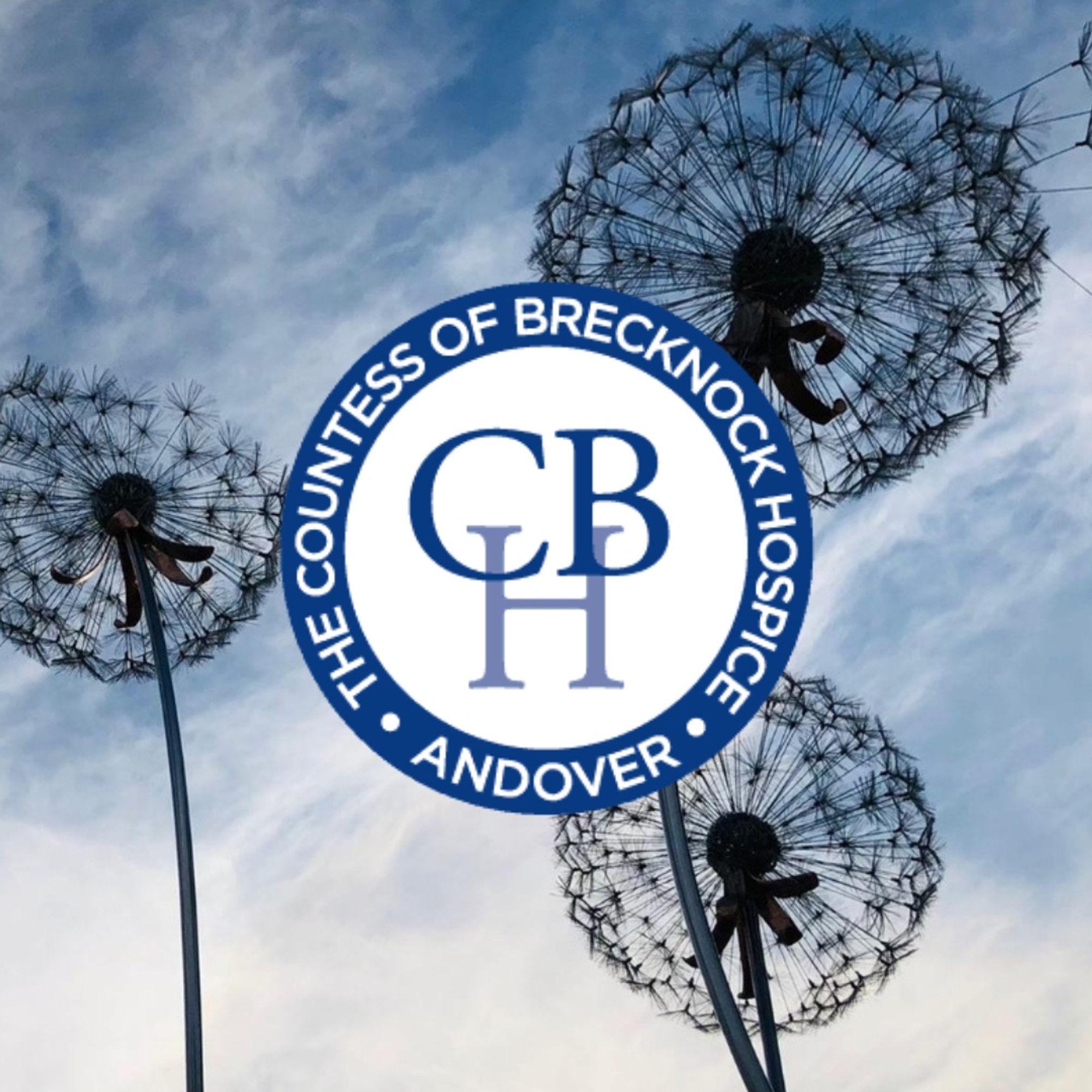 Photo of a sculpture of dandelion heads against a blue, cloudy sky. The Countess of Brecknock Hospice logo in the centre of image.