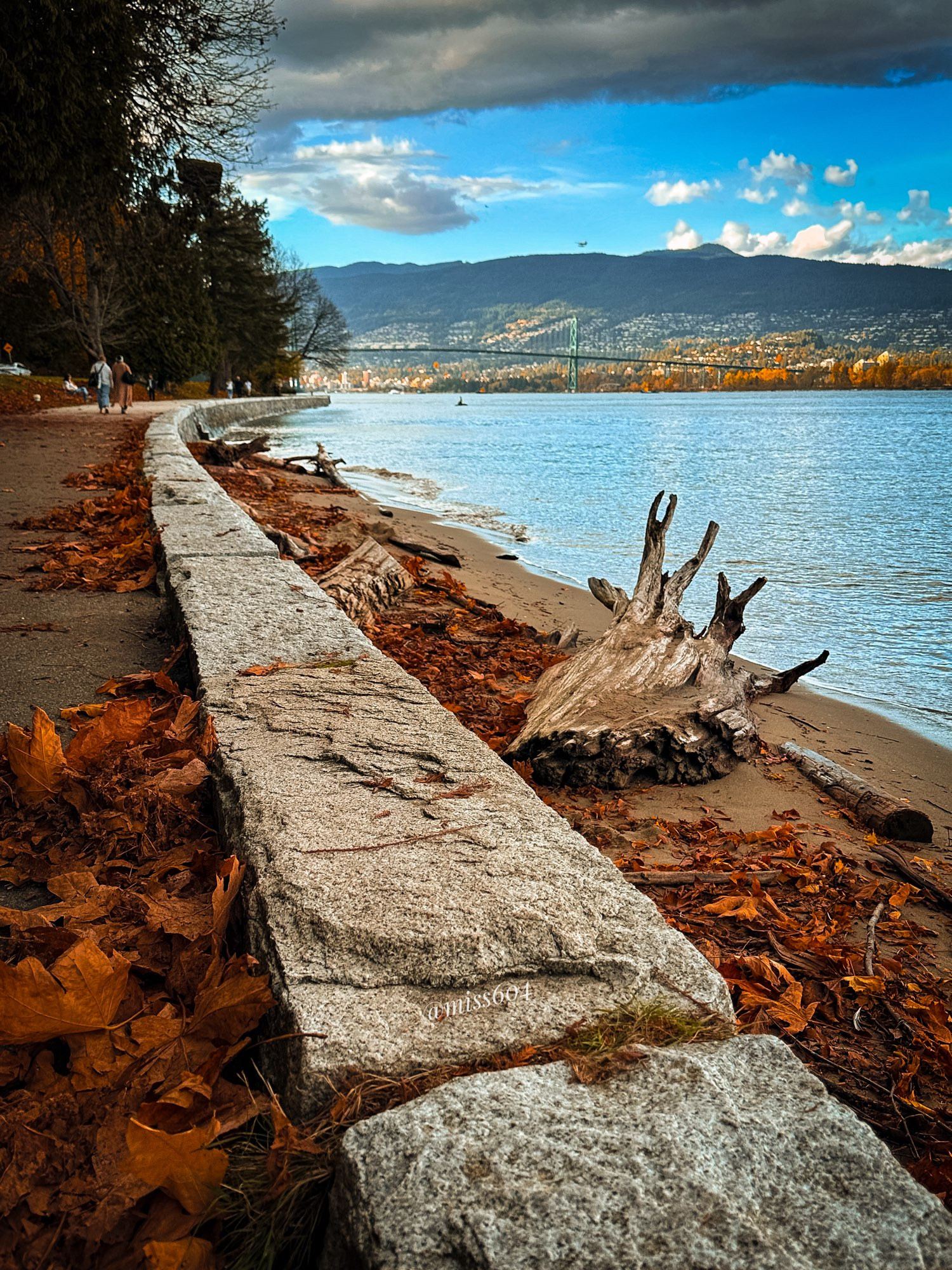 Low perspective of the ledge of the stone Seawall around Stanley Park in Vancouver. Fallen leaves blown around the sides. On the left people are walking on the path which borders the road and forest. On the right, a sandy beach littered with driftwood logs pushed up by the waves. In the distance, the Lions Gate Bridge and the north shore mountains