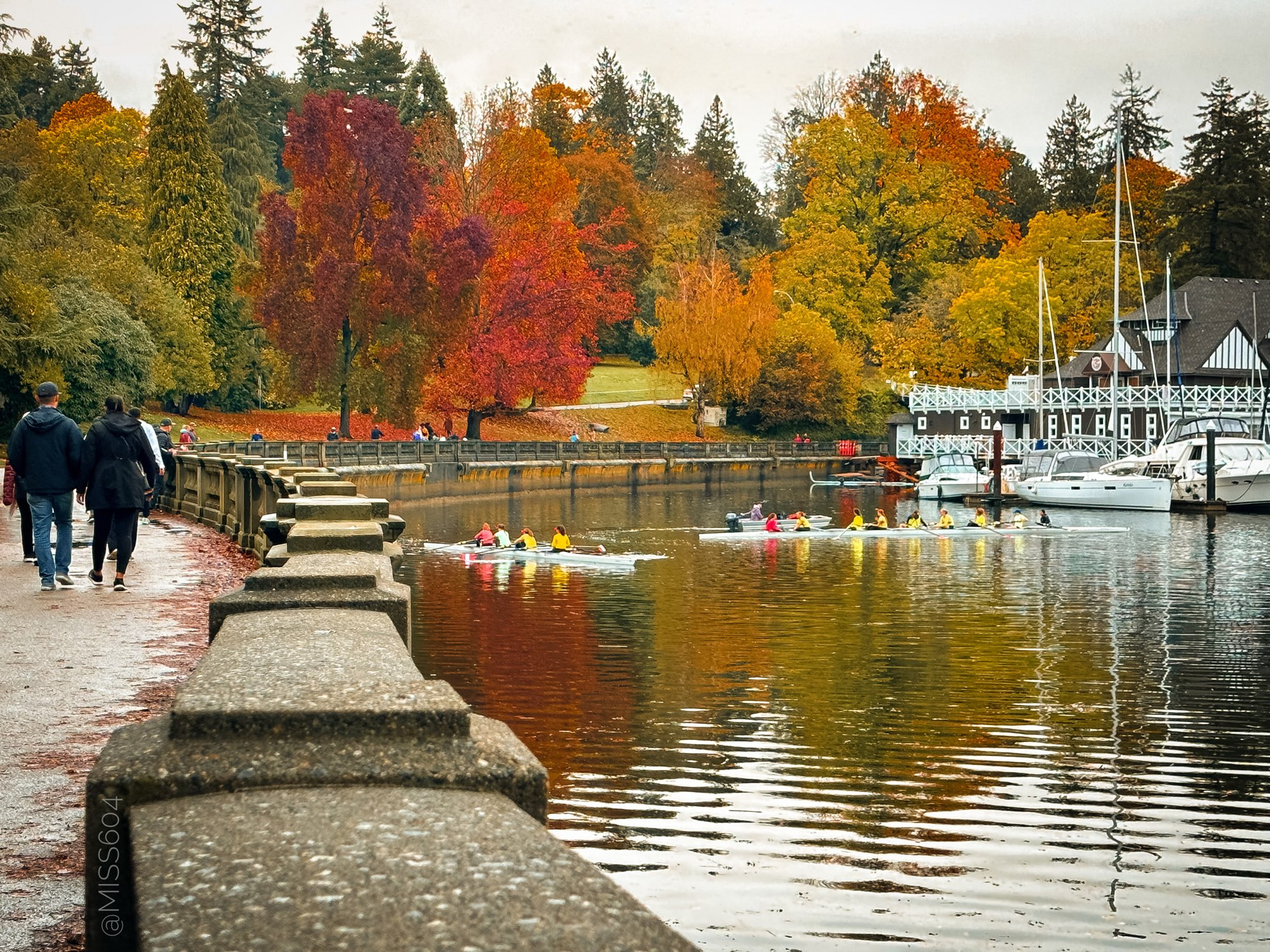 On the left is the Stanley Park Seawall pathway, bordered by the stone railing which travels down the middle of the image and curves around the park to the right in the background. On the right, over the railing, is a high tide in Coal Harbour with several members of the Vancouver Rowing Club getting some practice in.