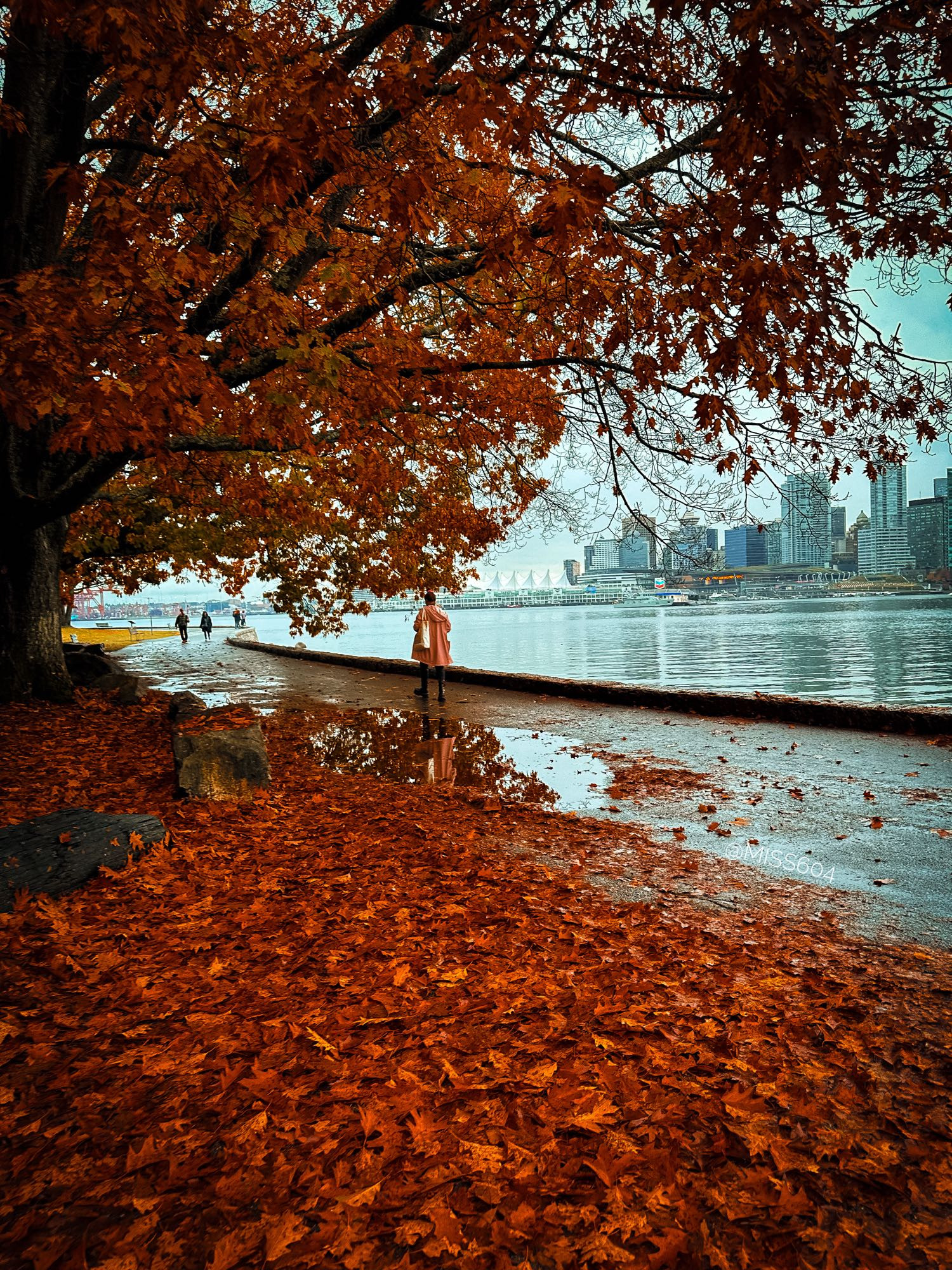 A blanket of leaves on the Stanley Park Seawall in Vancouver. The path has a big puddle that holds the reflection of a person walking by. A leafy tree hangs over head. Across the water is the downtown Vancouver skyline.