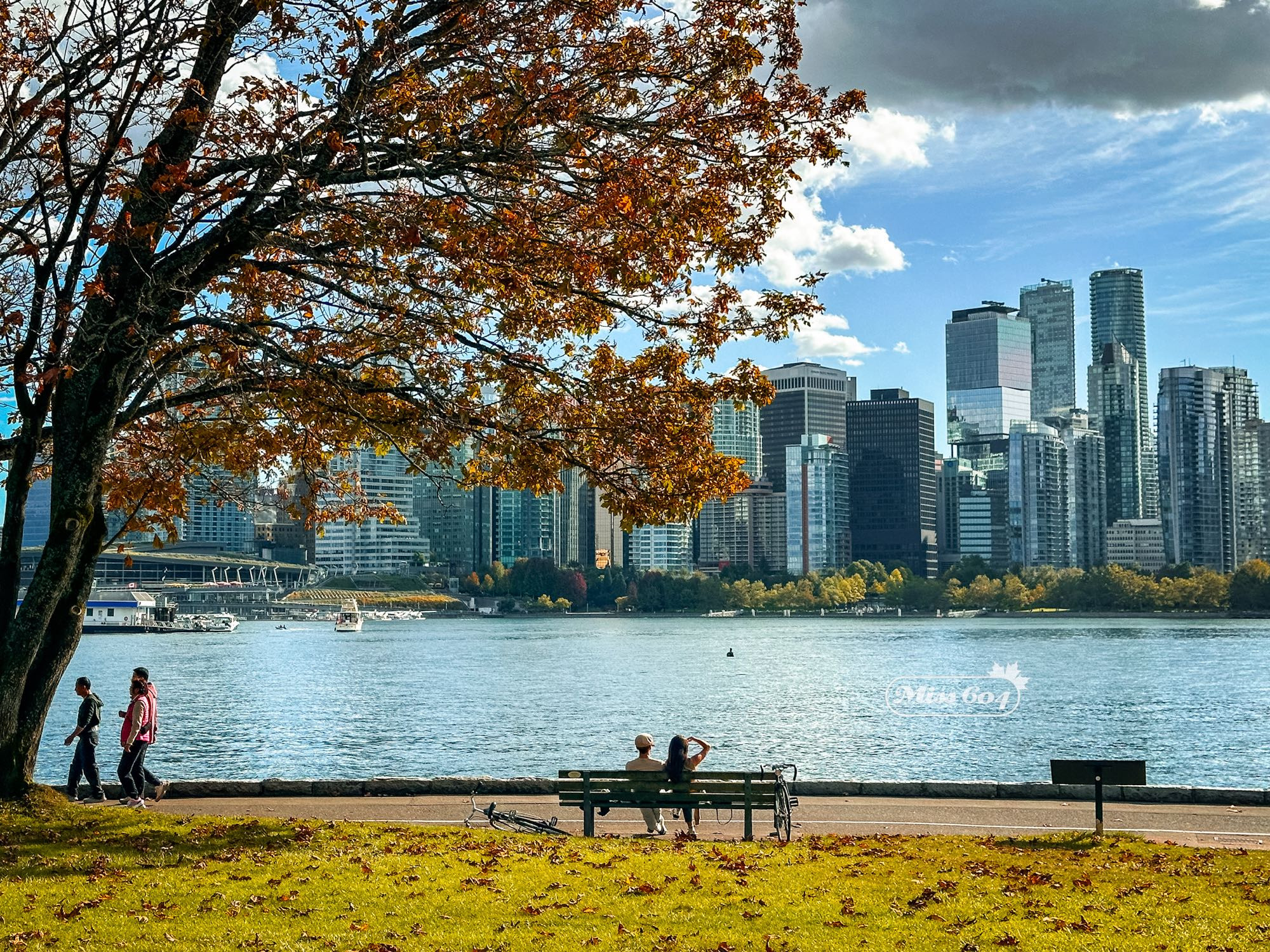 A couple sit on a bench along the Stanley Park Seawall in Vancouver. Across the harbour is the city skyline. A tree with a canopy of autumn leaves frames the image to the left