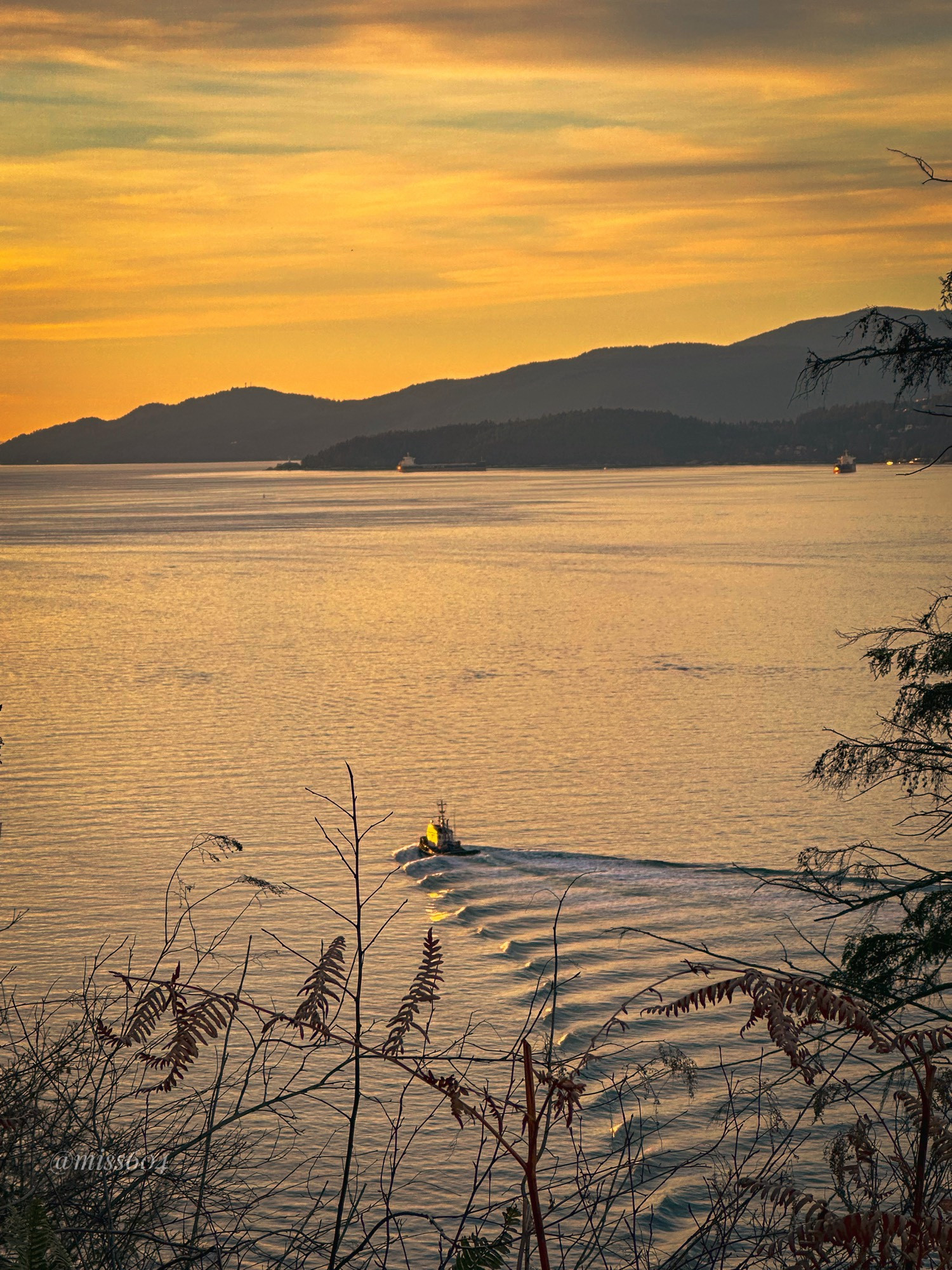 From the top of Prospect Point in Vancouver’s Stanley Park, a tugboat down in Burrard Inlet casts a symmetrical wake pattern in the water. The sky is warm with a sunset glow and the north shore mountains are in the distance