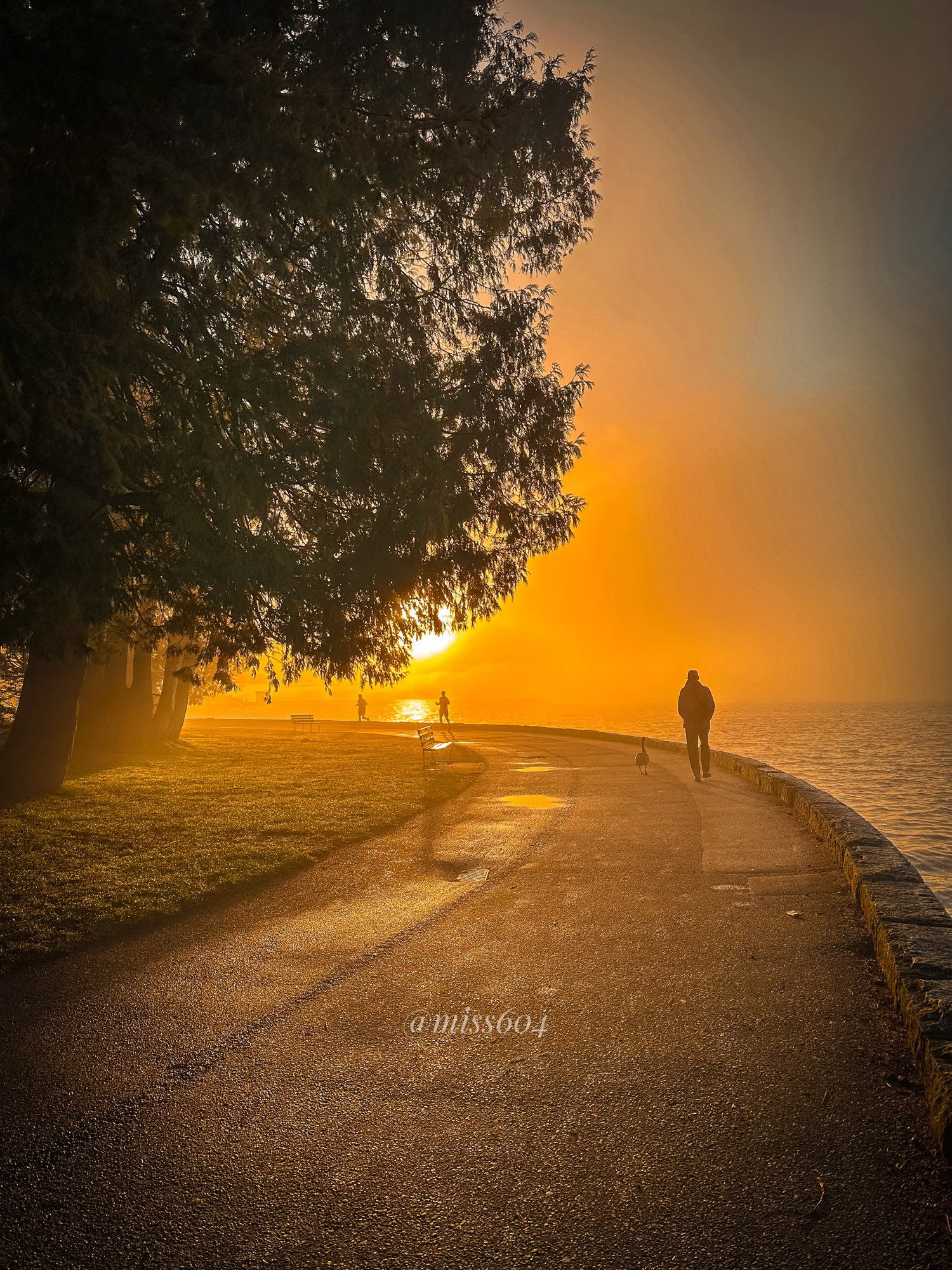 A foggy sunrise on the Stanley Park Seawall in Vancouver