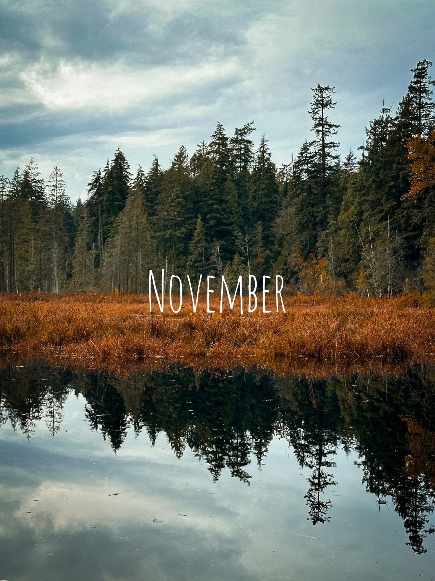 November - the bog is filled with water again at Beaver Lake, so much that it reflects the park trees on its glassy surface