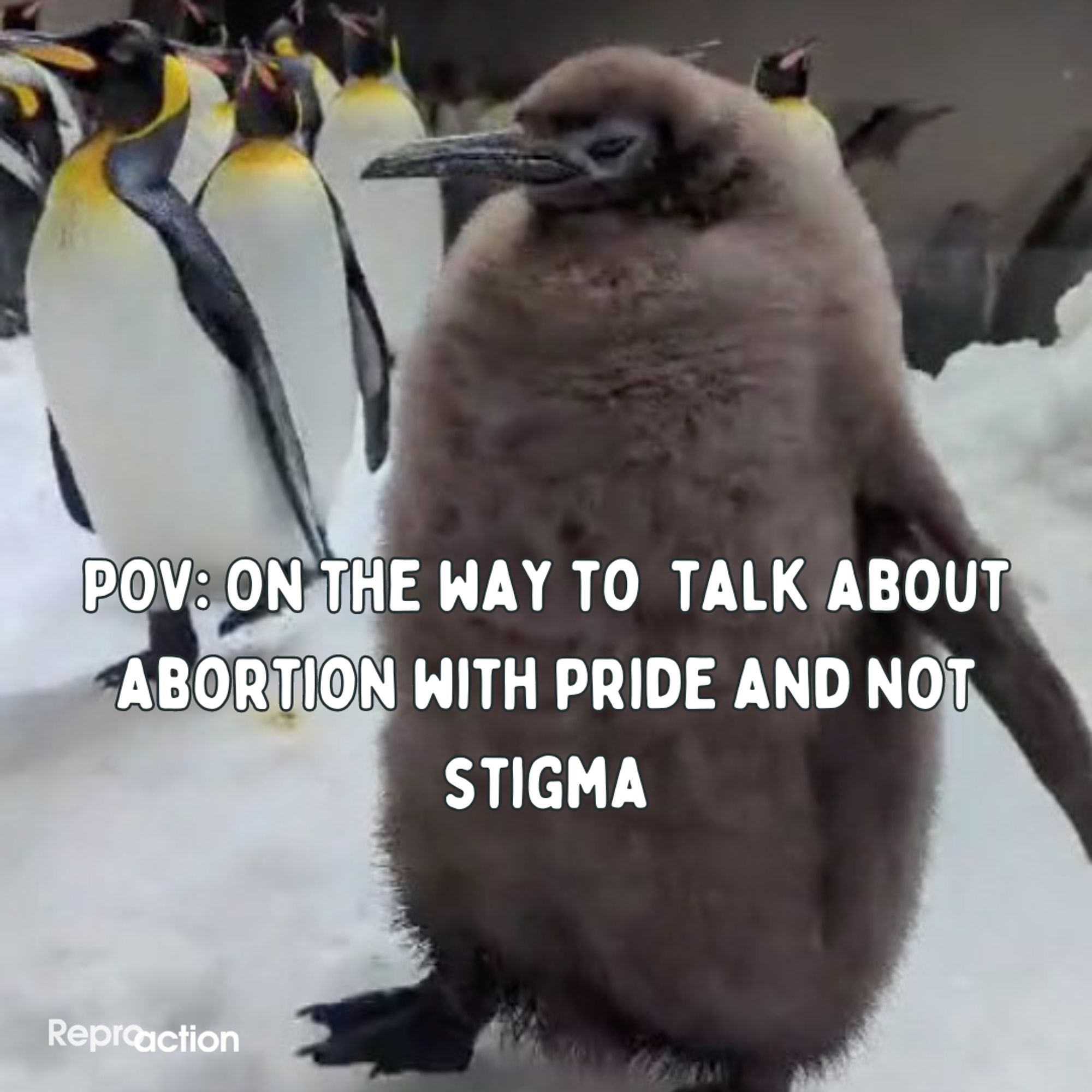 States ”POV: On the way to talk about abortion with pride and not stigma.” Graphic is a picture of Pesto the penguin with his parents, and Reproaction logo.