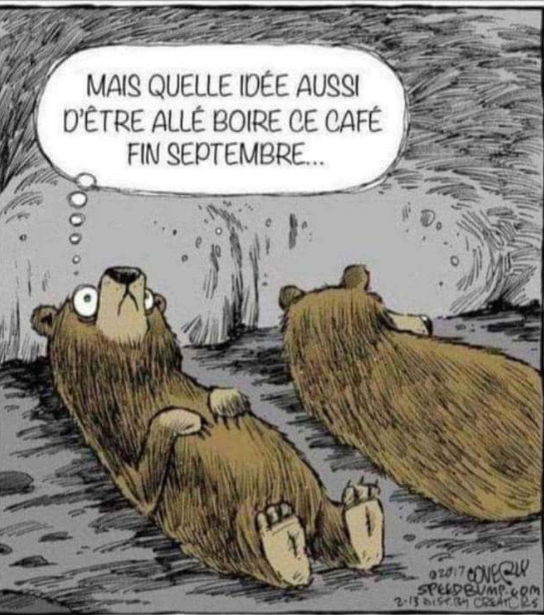 Un ours qui doit normalement hiberné à les yeux ouverts et dit « mais quelle idée d’être allé viré ce café fin septembre »