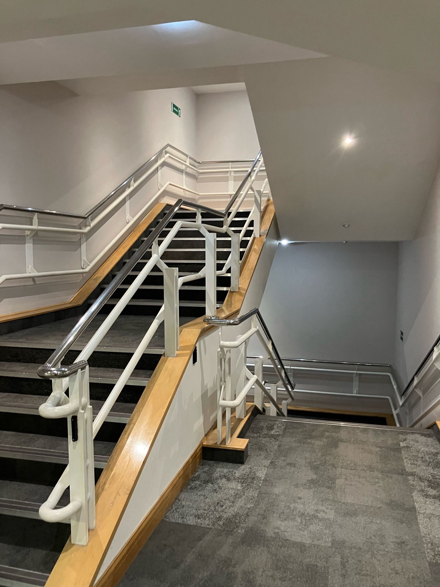 Grey carpeted stairs with shiny chrome handrails