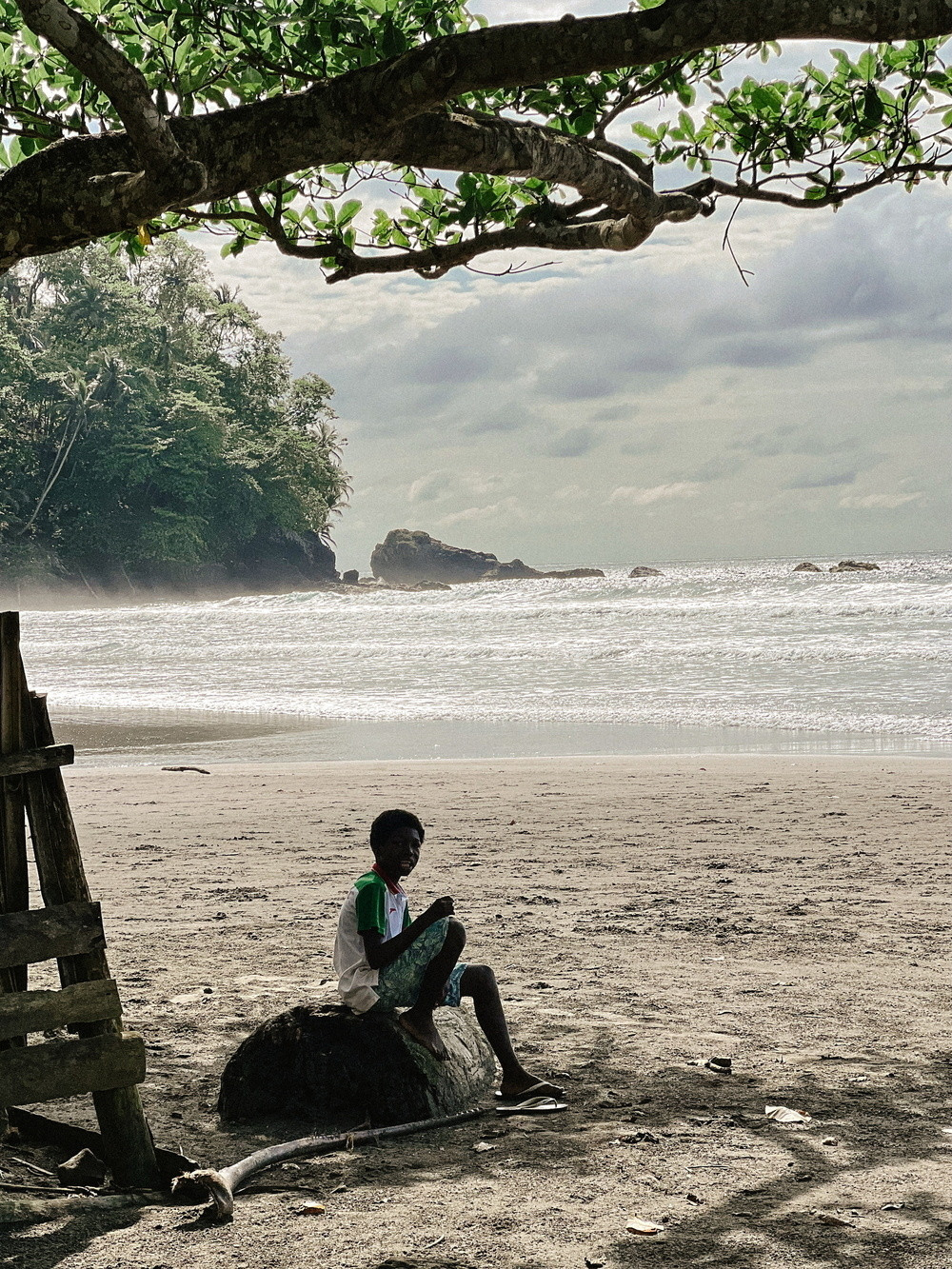 A young person is sitting on a rock on a sandy beach under the shade of a tree. The ocean waves are visible in the background, with a rocky outcrop and lush greenery nearby. The scene has a serene and tranquil atmosphere.