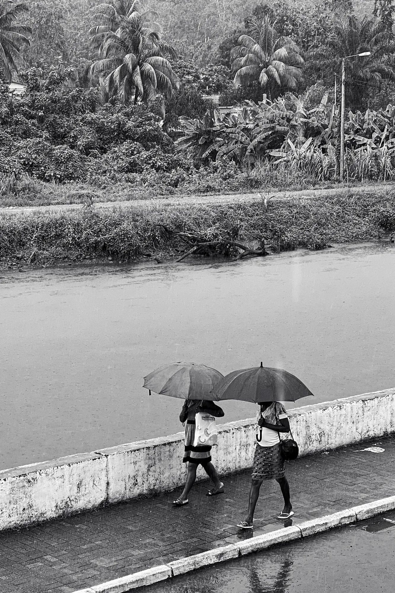 Two women with umbrellas walks next to a river. Forest in the background.