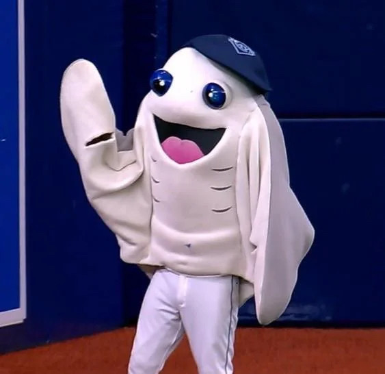 Rays’ mascot Stingerr