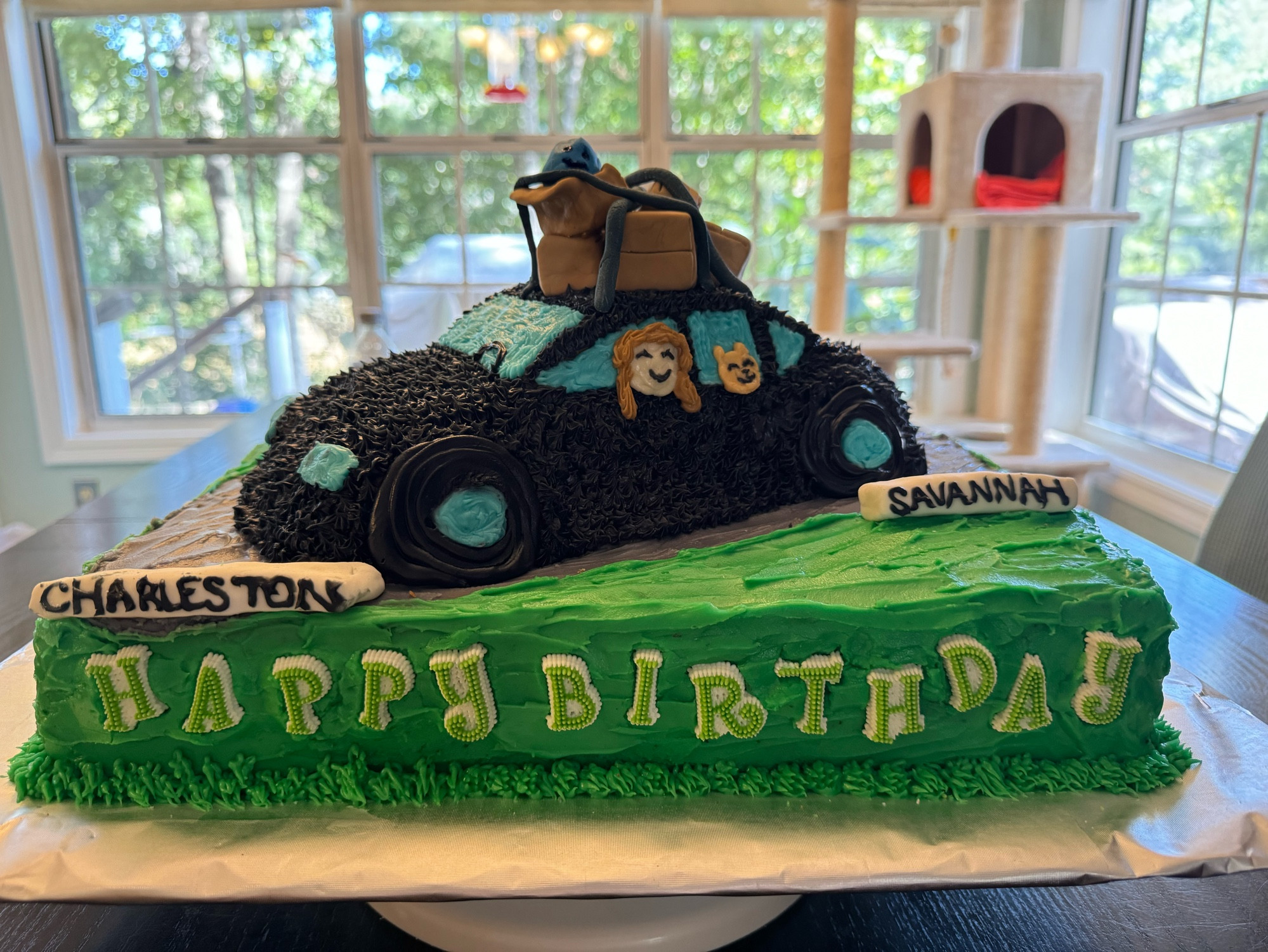 A close up of my birthday cake. It has a sheet cake bottom and a car-shaped top layer with fondant boxes and straps on top. A crude sonic-shaped fondant plushie is in one of the open boxes. My head and my cat’s head are visible in the side windows. Signs at the front and back of the cake read “Charleston” and “Savannah”. Candy pieces along the bottom read “Happy Birthday” and two lit “27” candles.