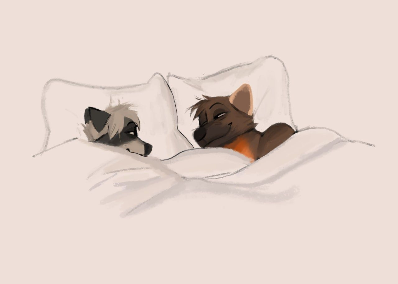 Two anthros lay in bed blended in amongst an egg white void. They stare contentedly at each other, apparently barely woken up. 

On the left is a raccoon with a short messy mop of silvery white hair 

On the right is a pine marten.