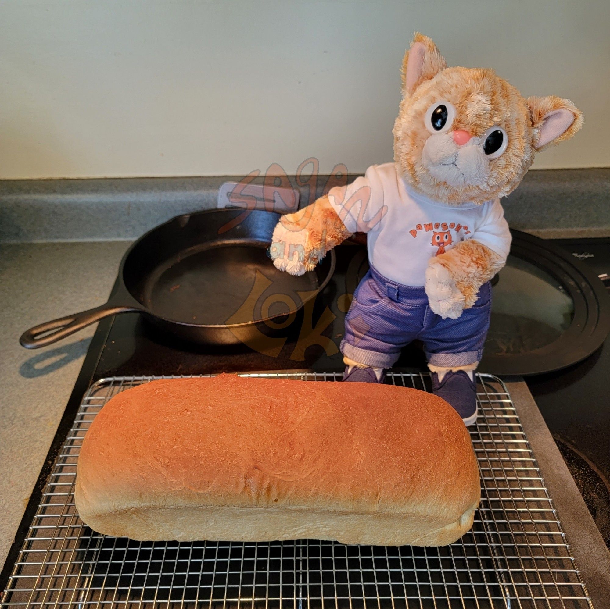 An orange plush cat in jeans and a Pawesome tee gestures to a loaf of fresh bread cooling on a wire rack.