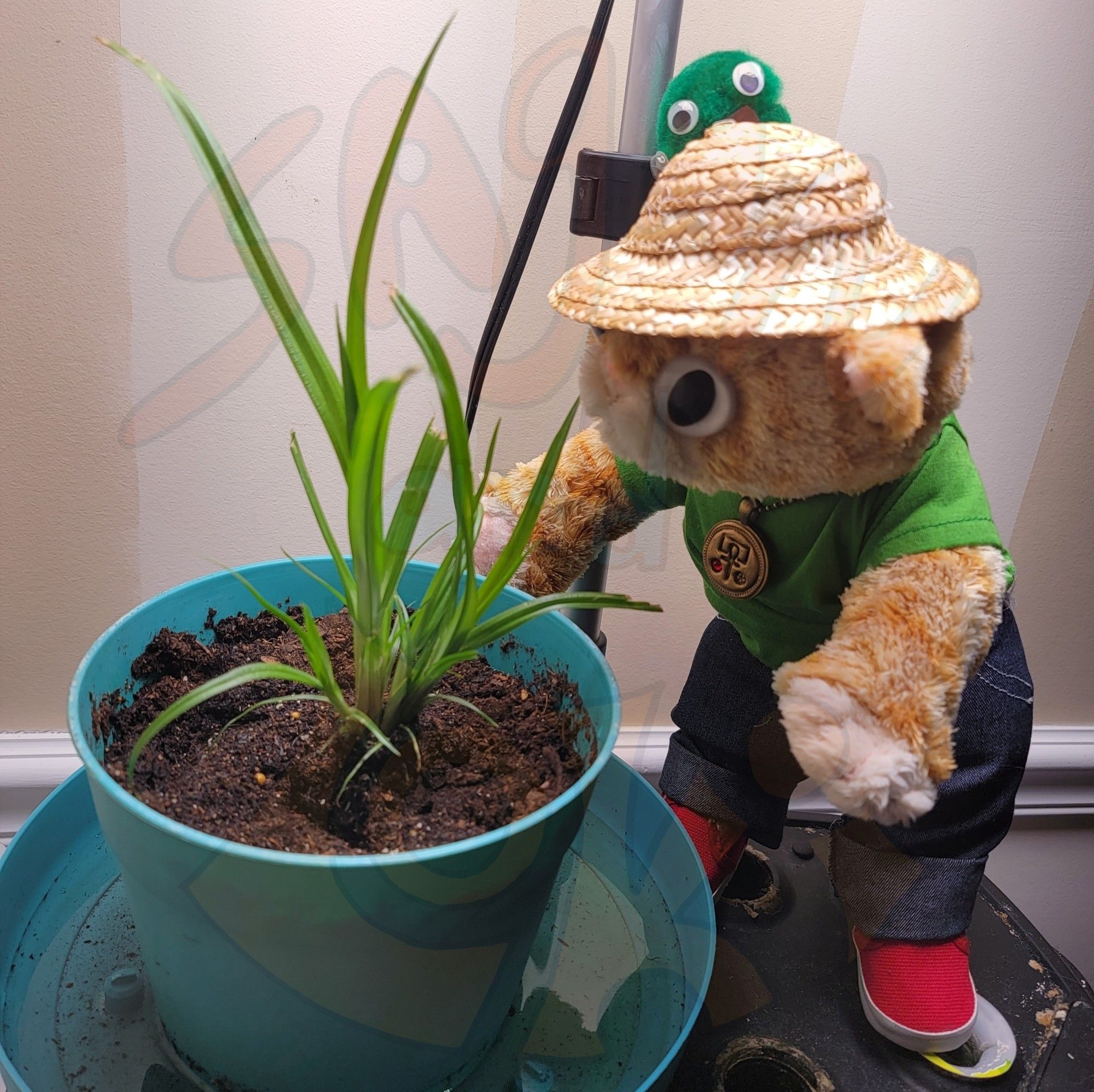 An orange plush cat in a gardening outfit tends his papyrus plant with a pet Peeve on his hat.