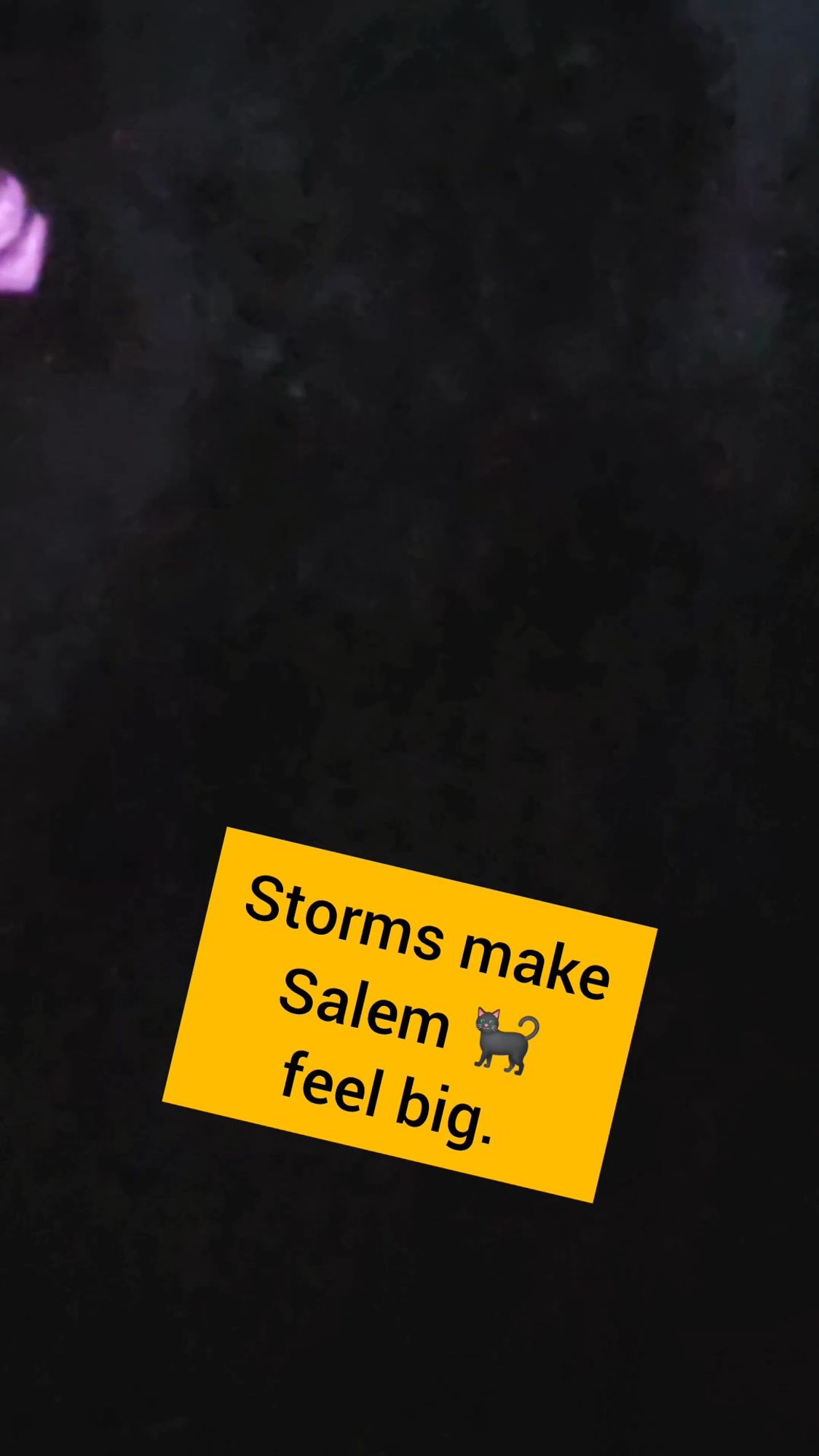 A dark storm with a lopsided yellow label that reads: Storms make Salem (black cat emoji) feel big.