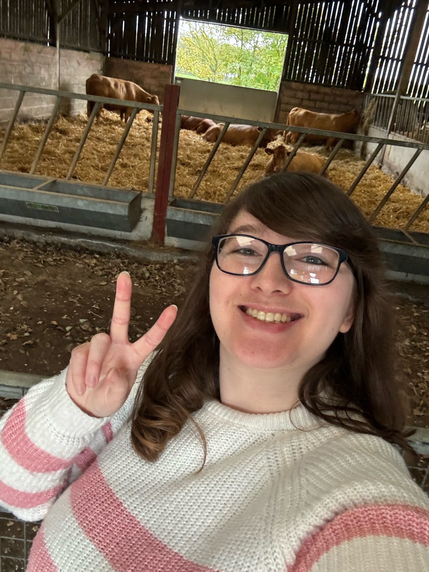 Me smiling in front of cows