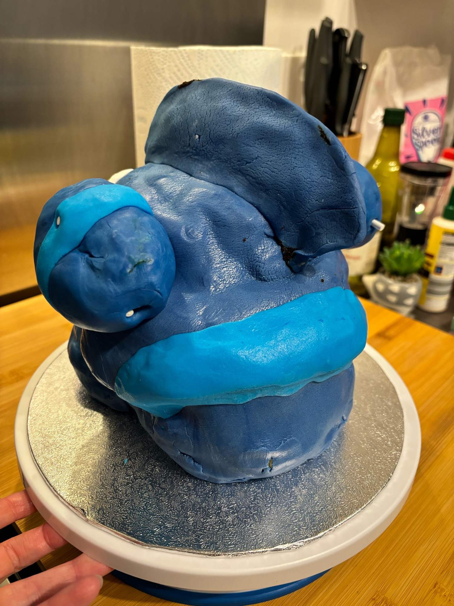 Back profile of Gible cake