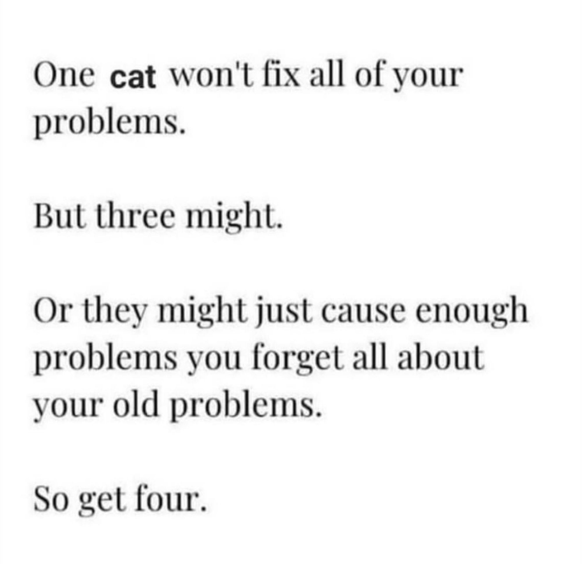 One cat won't fix all your problems.
But three might.
Or they might just cause enough problems you forget all about your old problems.
So get four.