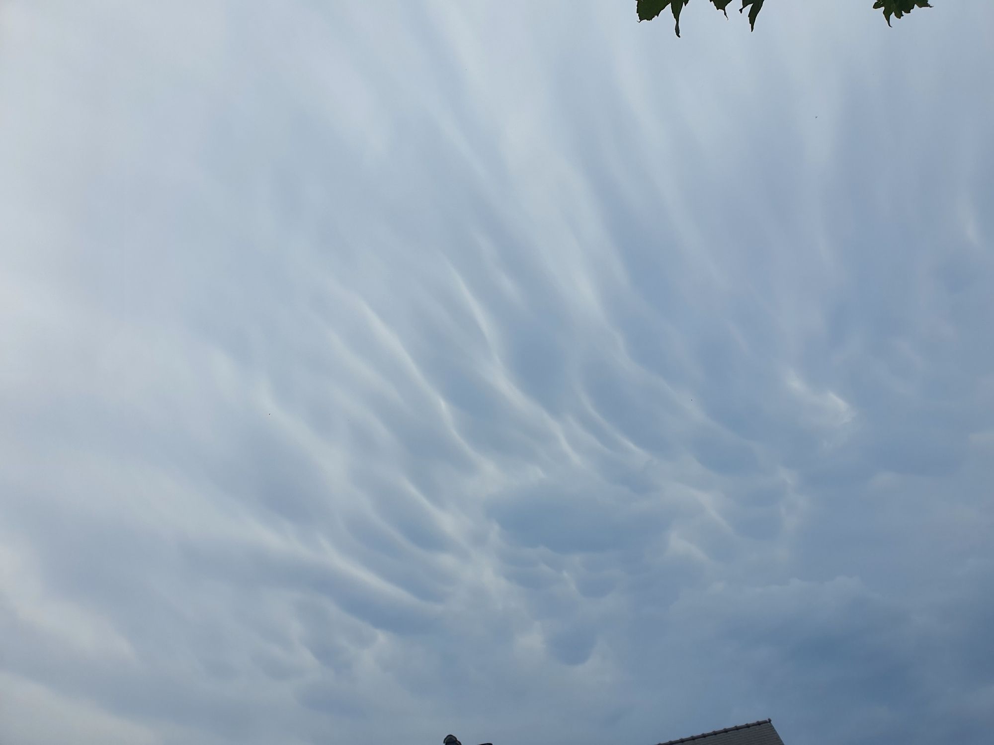 Nuages gris chelous