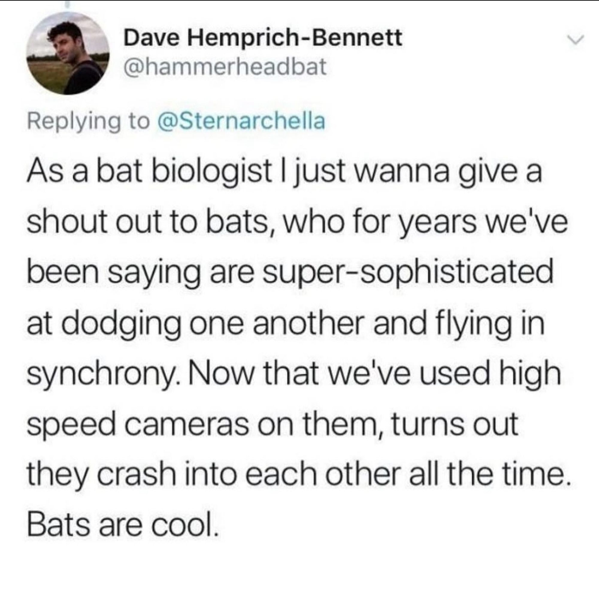 As a bat biologist I just wanna give a shout out to bats, who for years we've been saying are super-sophistocated at dodging one another and flying in synchrony. Now that we've used high speed cameras on them, turns out they crash into each other all the time. Bats are cool.