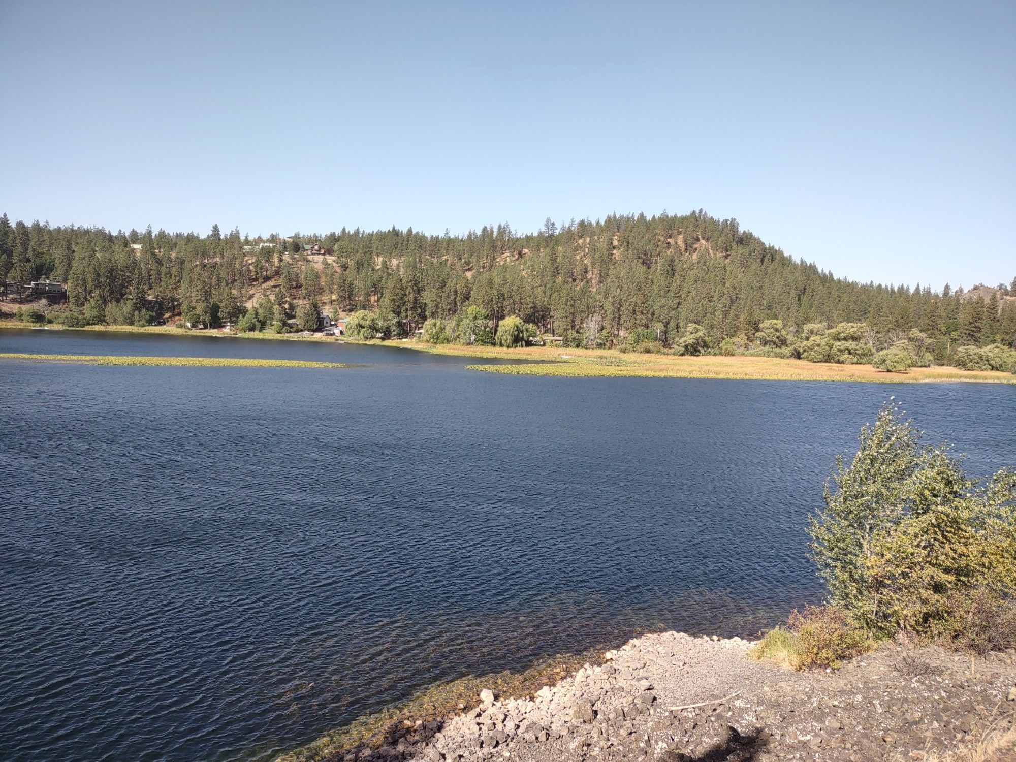 A beautiful lake along a trail. The far side of the lake is a large hill lined with pine trees and a few houses. Lily pads can be seen along the far shore.